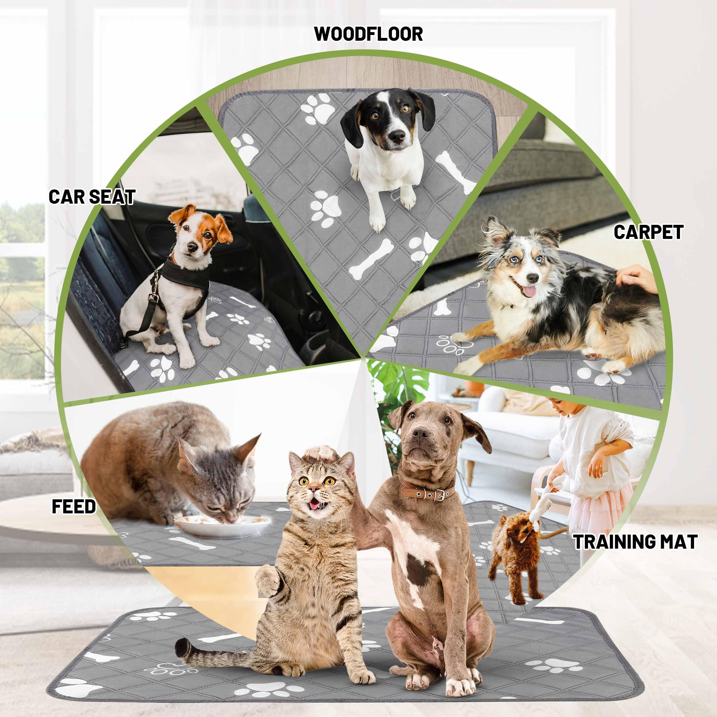 Patiencet Washable Pee Pads For Dogs, 24' X 36' Reusable Puppy Pads With Super Absorbent, 2 Pack Puppy Potty Pads With Waterpr