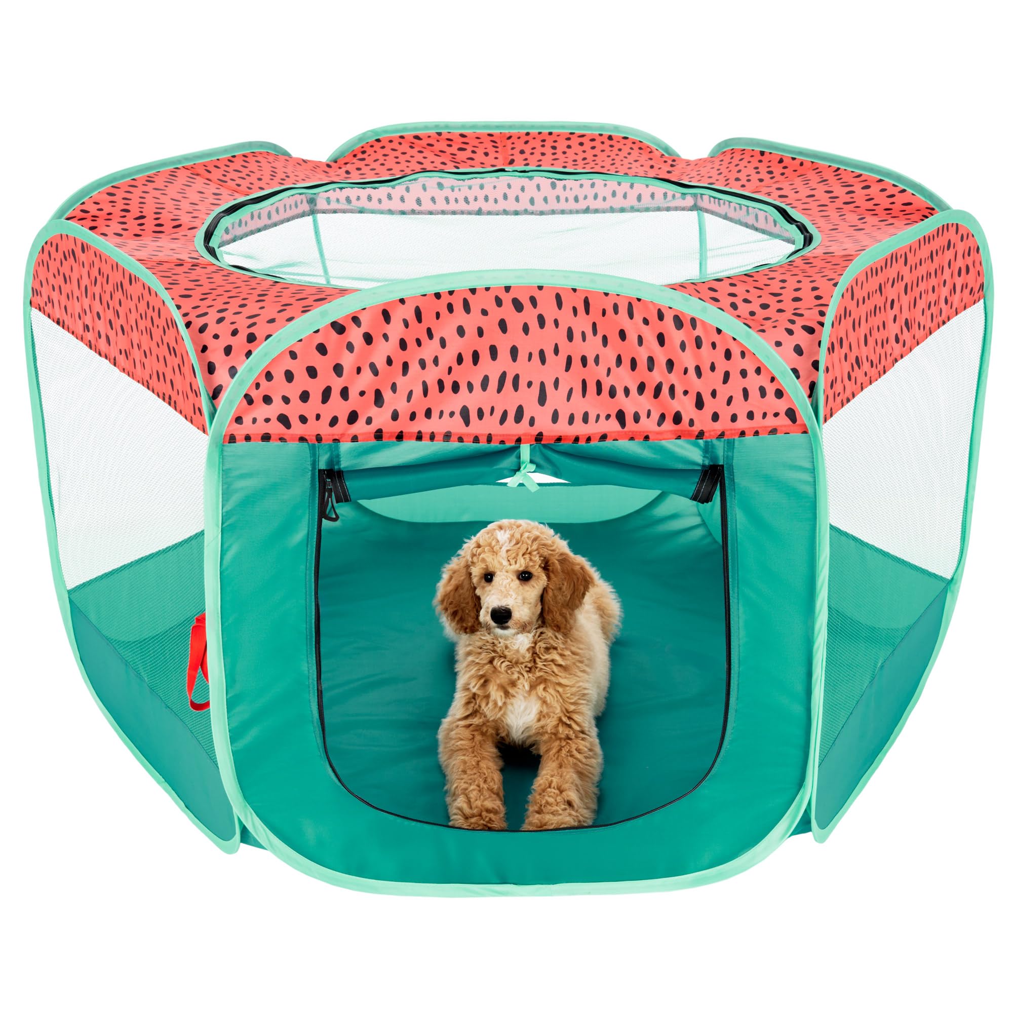 Furhaven Portable Dog Playpen Cat Tent, Pet Playground/Kennel Foldable Indoor Outdoor Zippered Puppy Crate - Green & Pink, Extra