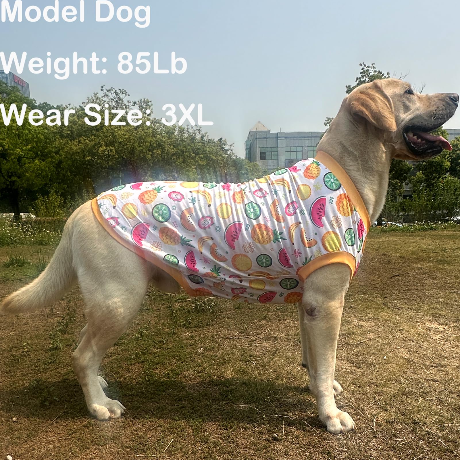 Dog Sleeveless T Shirt Yellow Fruits Prints Vest Shirt Soft Stretchy Summer Clothes For Extra Large Dog Boys Girls Shirt 2X-Larg