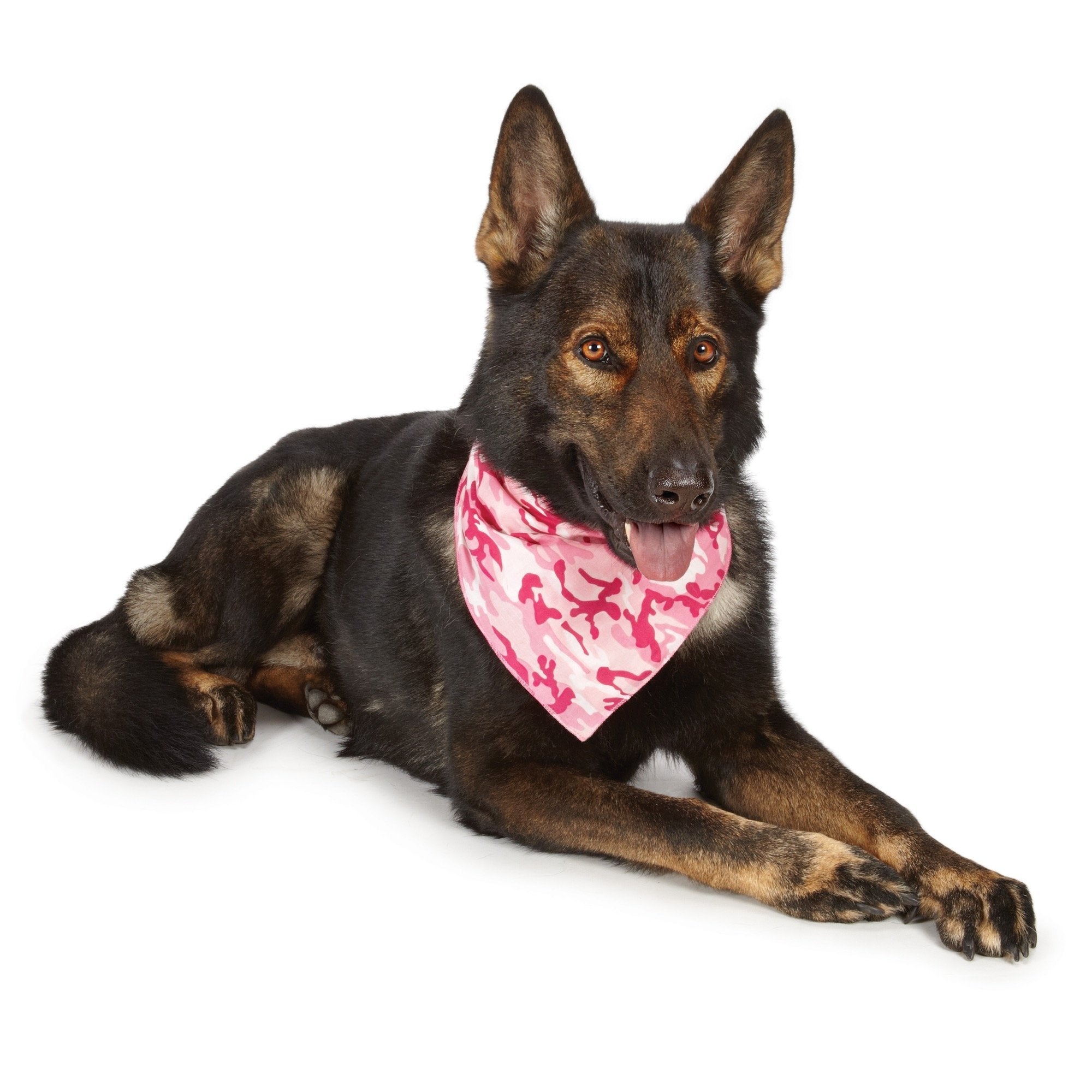 Aria Camo Bandanas For Dogs, Pink