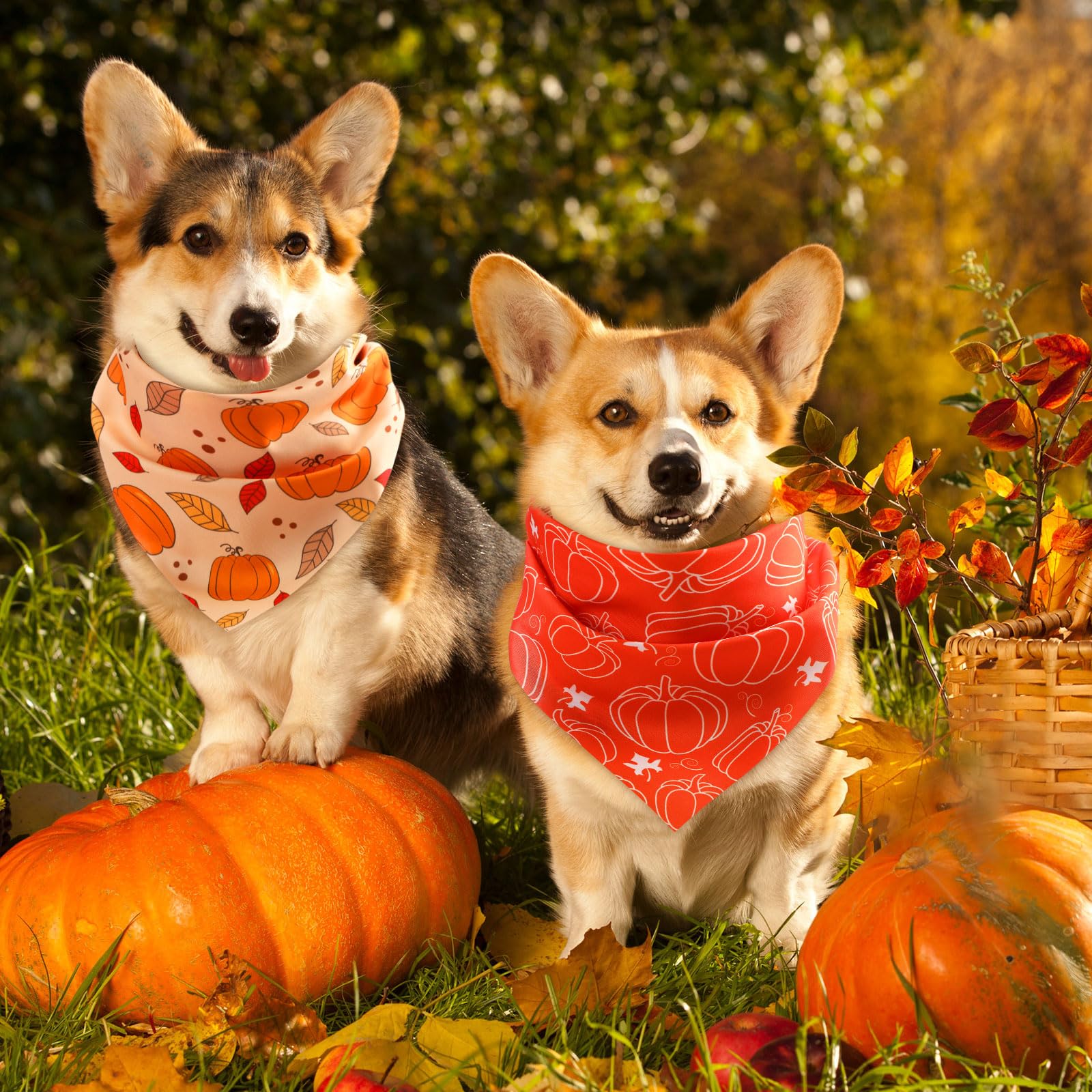 Abbylike 50 Pcs Fall Thanksgiving Dog Bandana Bulk Pumpkin Bandana for Dogs Triangle Kerchief Bib Scarf for Pets Autumn Costume