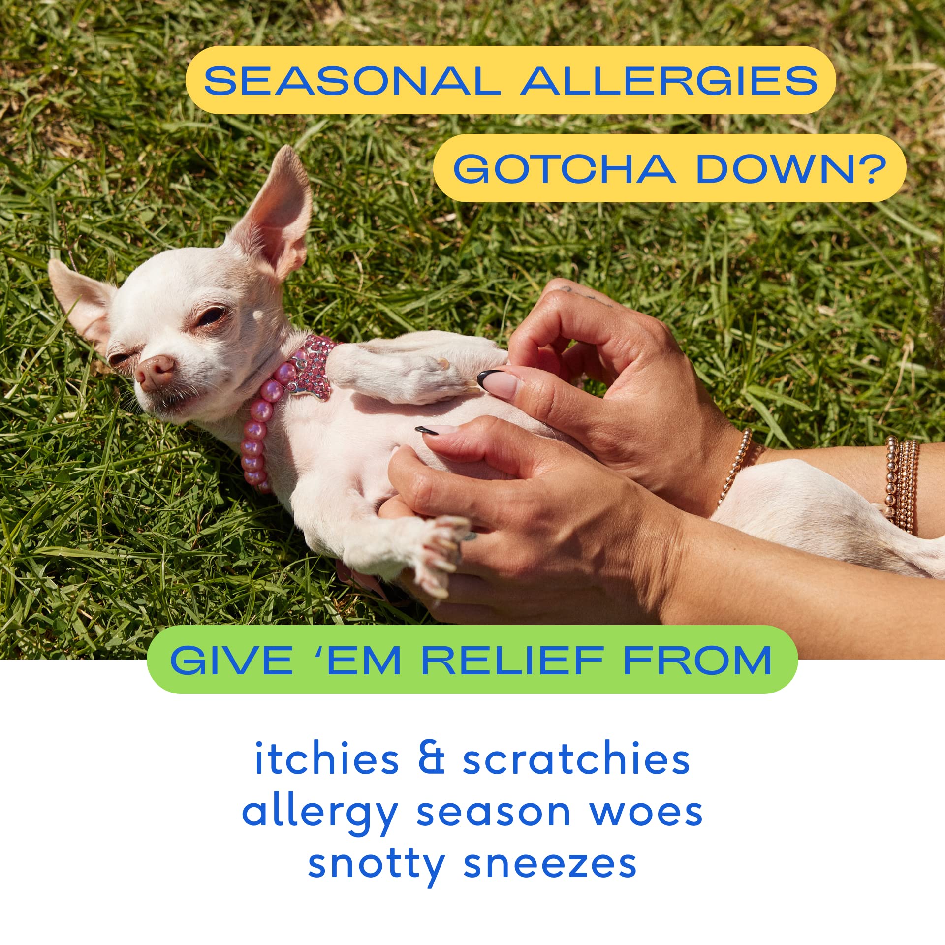 Native Pet Dog Allergy Chews - Natural Dog Skin Allergies Treatment - Anti Itch for Dogs Allergy Relief - Itch Relief & Allergy