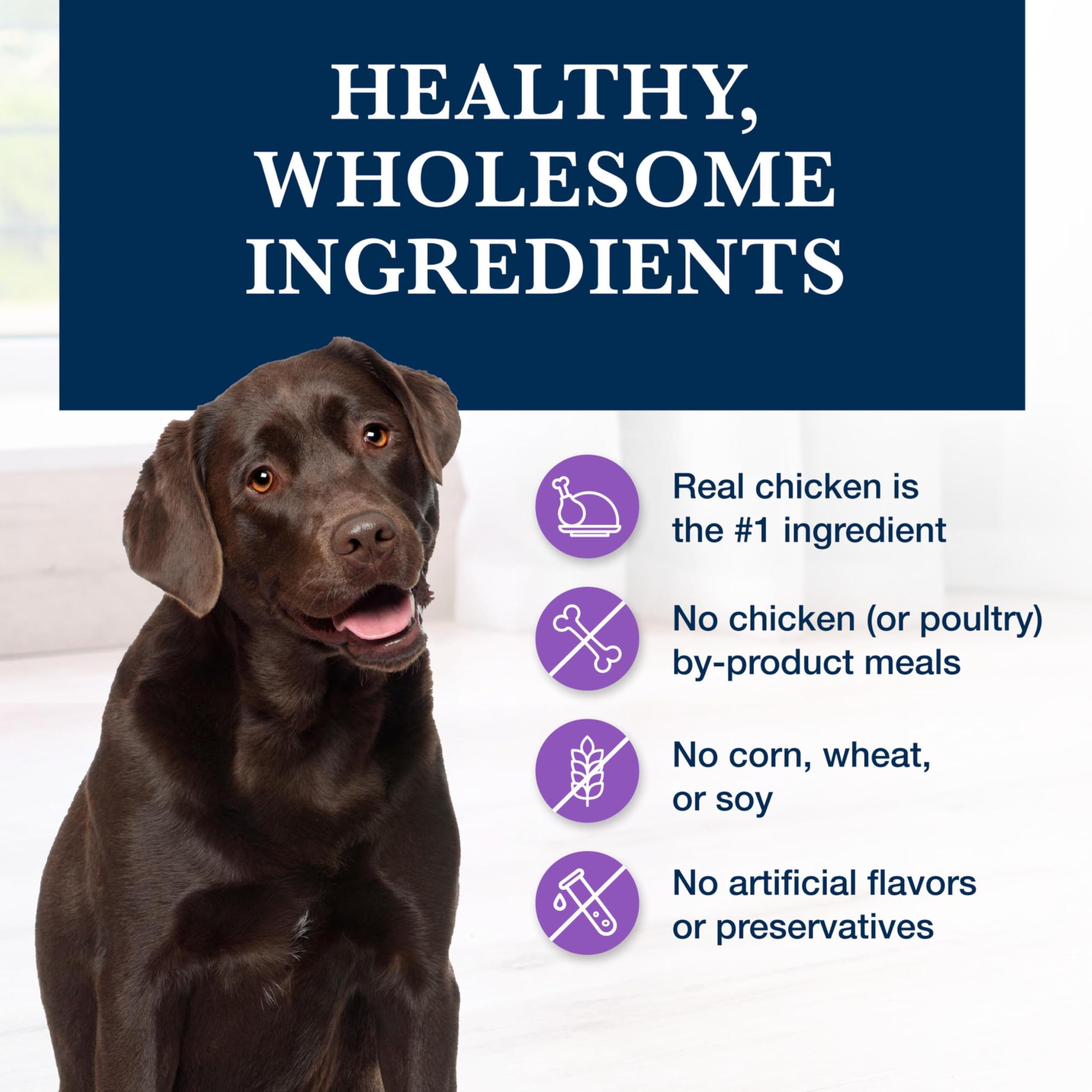 Blue Buffalo Natural Veterinary Diet W+U Weight Management + Urinary Care Dry Dog Food, Veterinarian Prescription Required, Chic