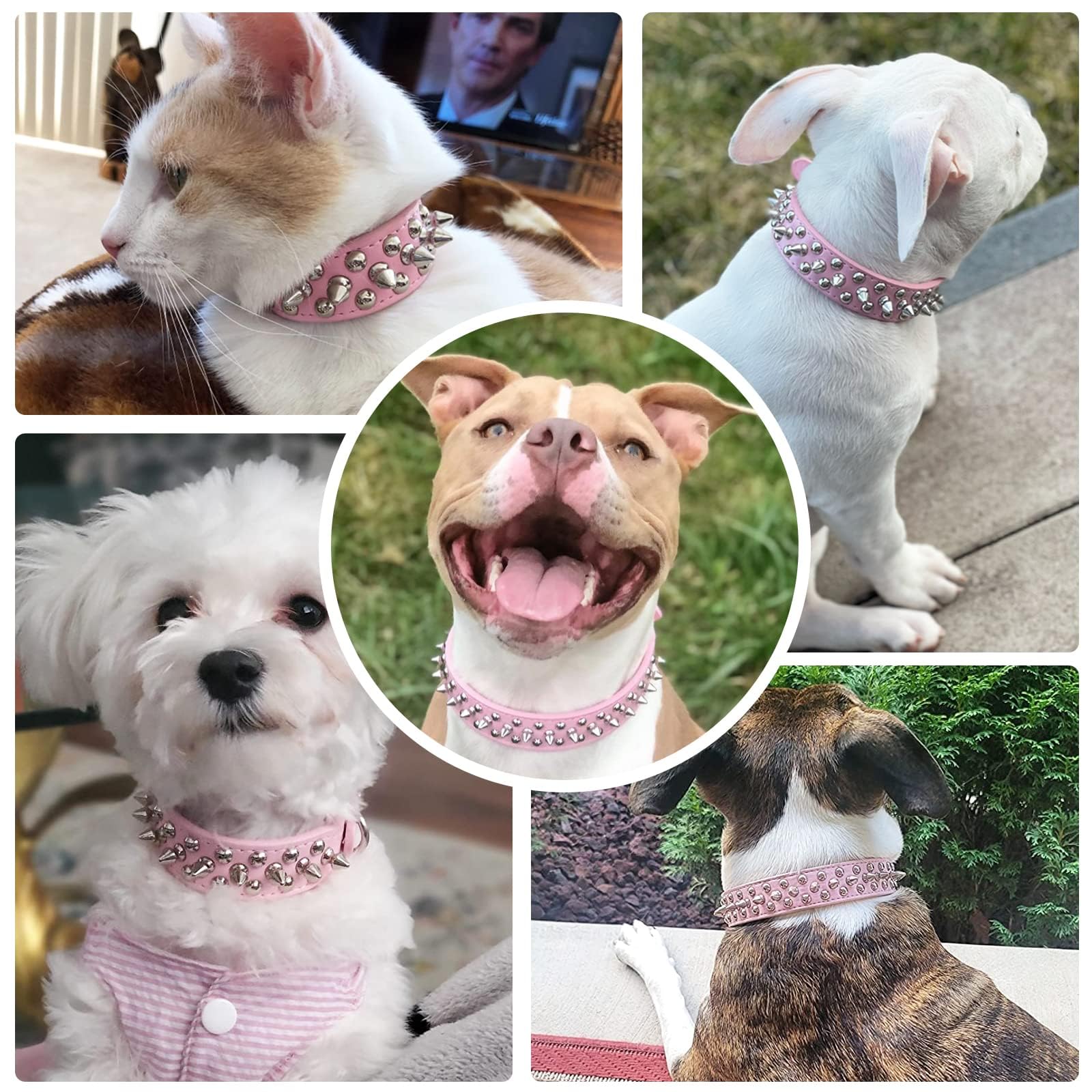 Doggyzstyle Small Pink Spiked Dog Cat Collar For Small Medium Dogs Girl Female - Adjustable Studded Puppy Collars - Soft Padded