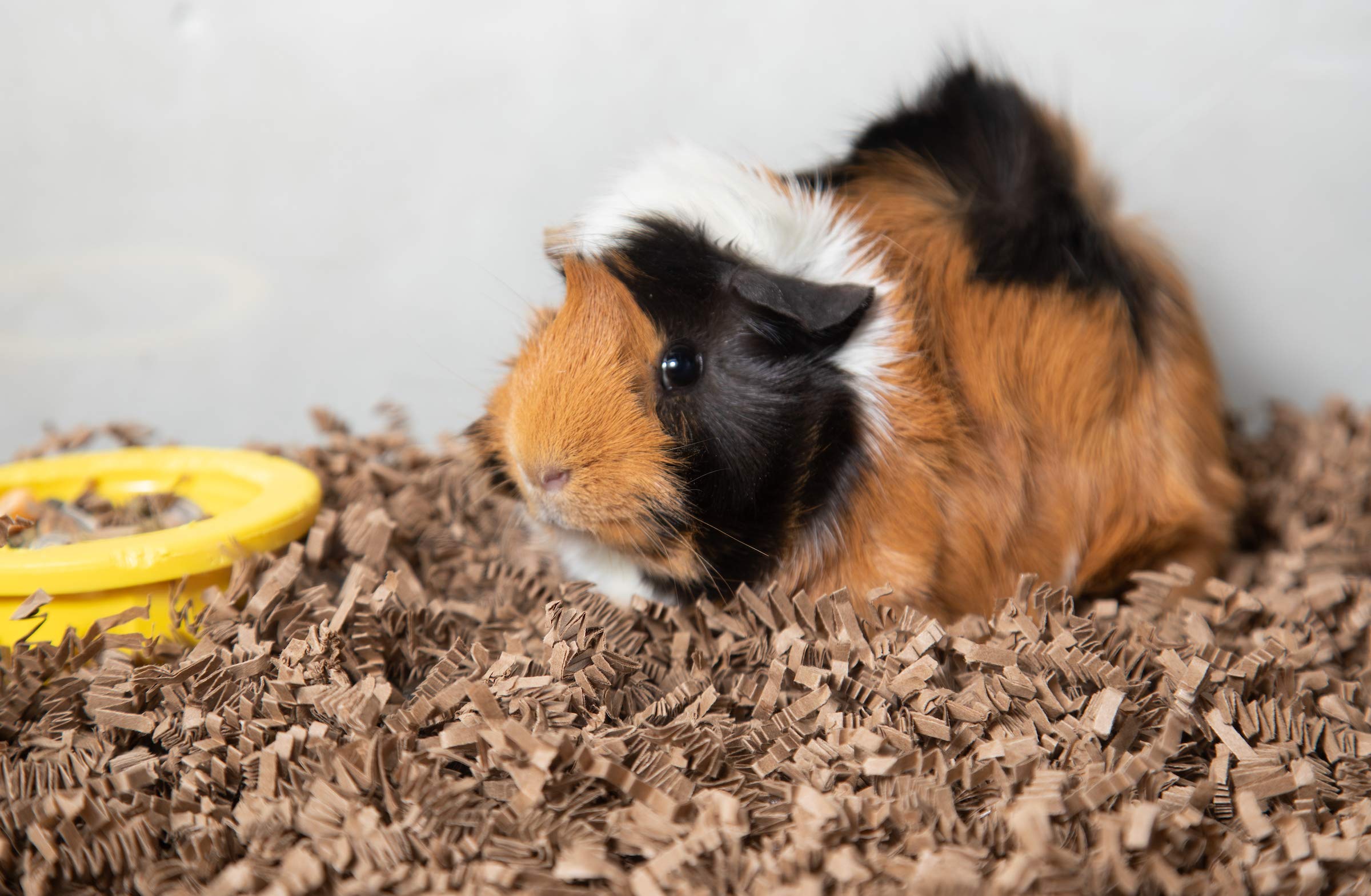 Fibercore Eco-Bedding Odor Control Pet