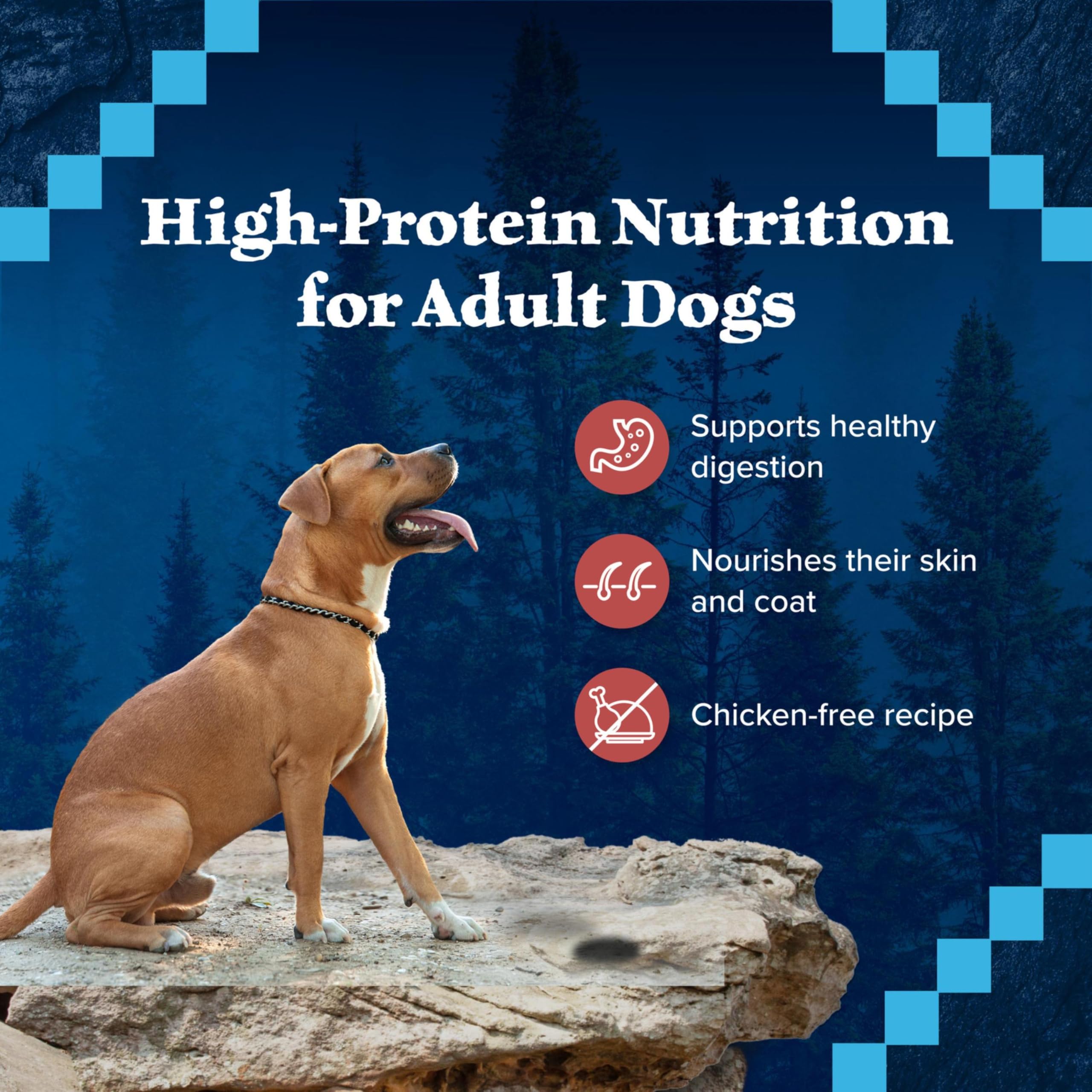 Blue Buffalo Wilderness Adult Wet Dog Food, High-Protein and Grain-Free, Made with Natural Ingredients, Rocky Mountain Recipe Re