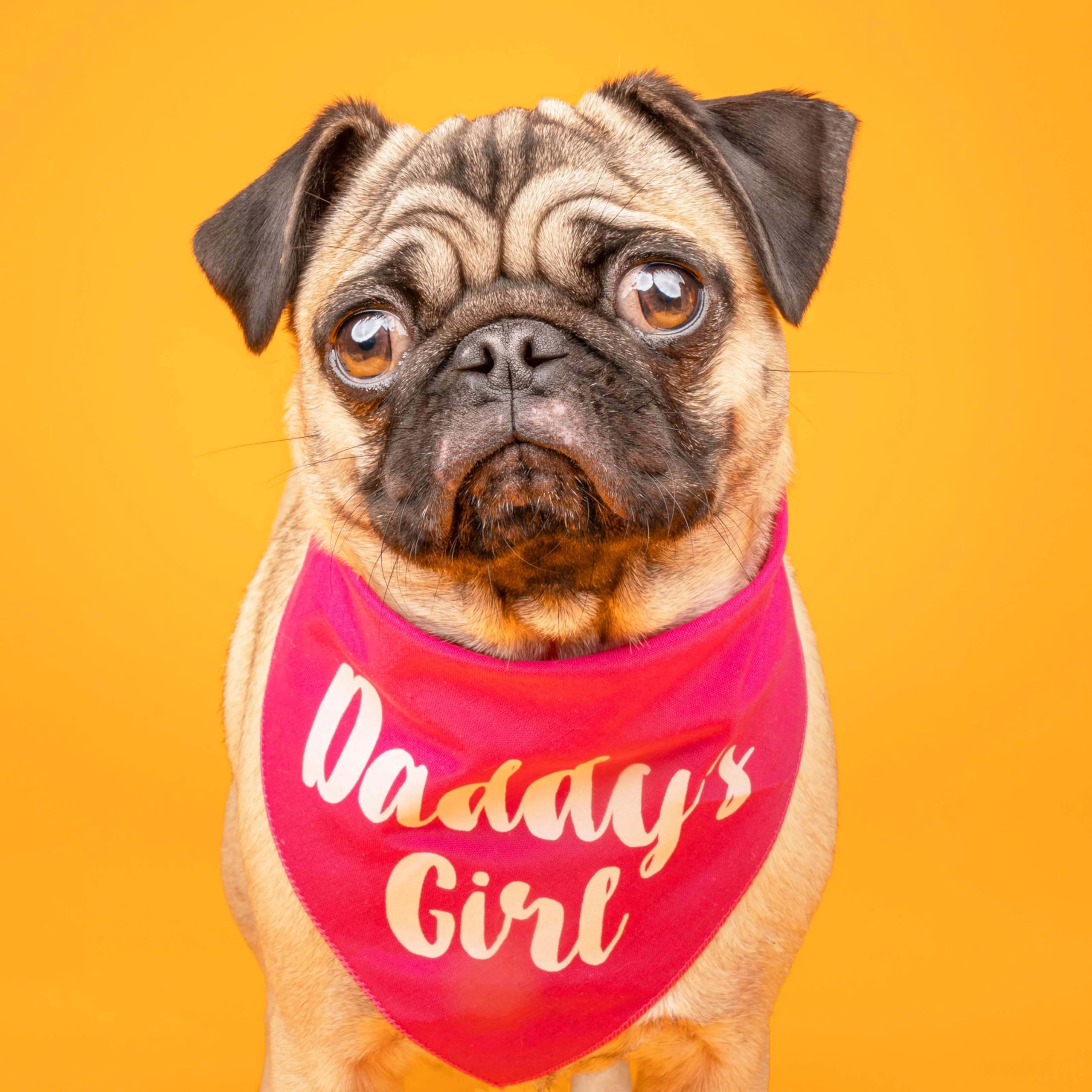 Daddy'S Girl Father'S Day Dog Bandana (Lime Green, Xs 5)