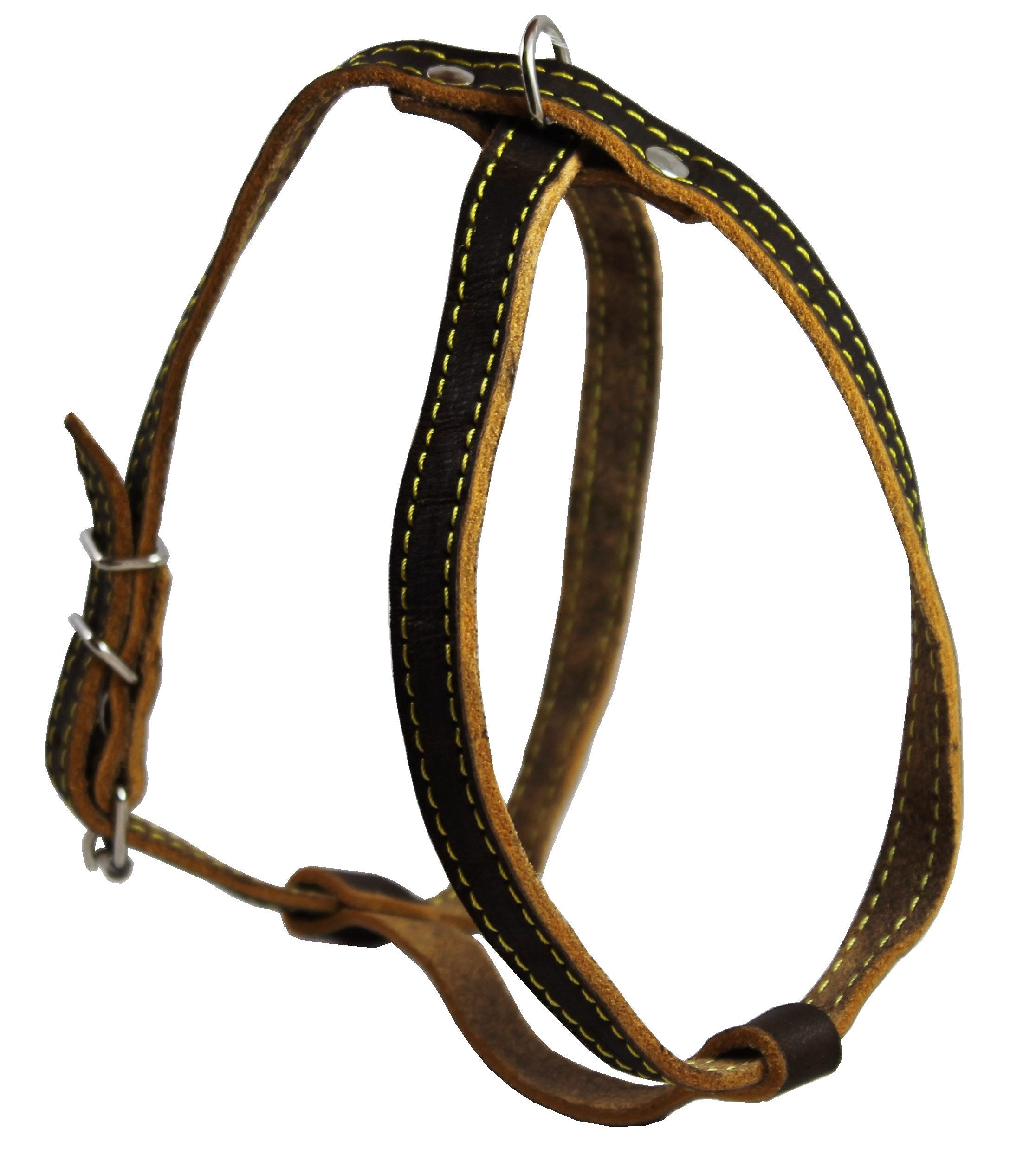 Real Leather Dog Harness, 12'-16' Chest Size, 1/2' Wide, Yorkshire Terrier, Pomeranian