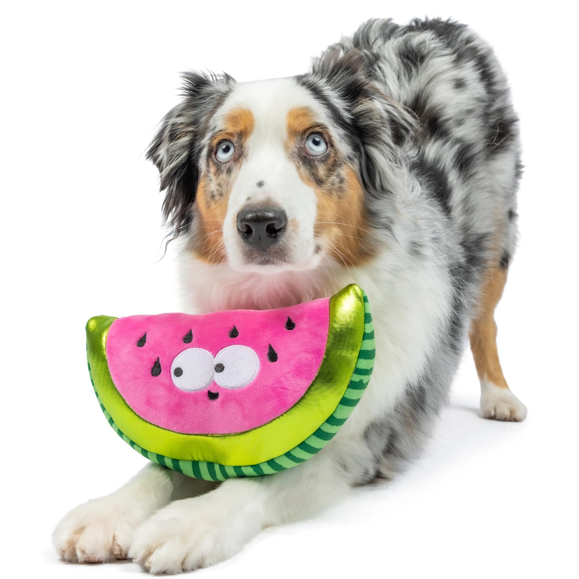 Huxley & Kent For Dogs - Walter Melon (Small) - Power Plush Dog Toy With Squeaker - Fun, Durable - H&K Squeaky Funny Dog Toy