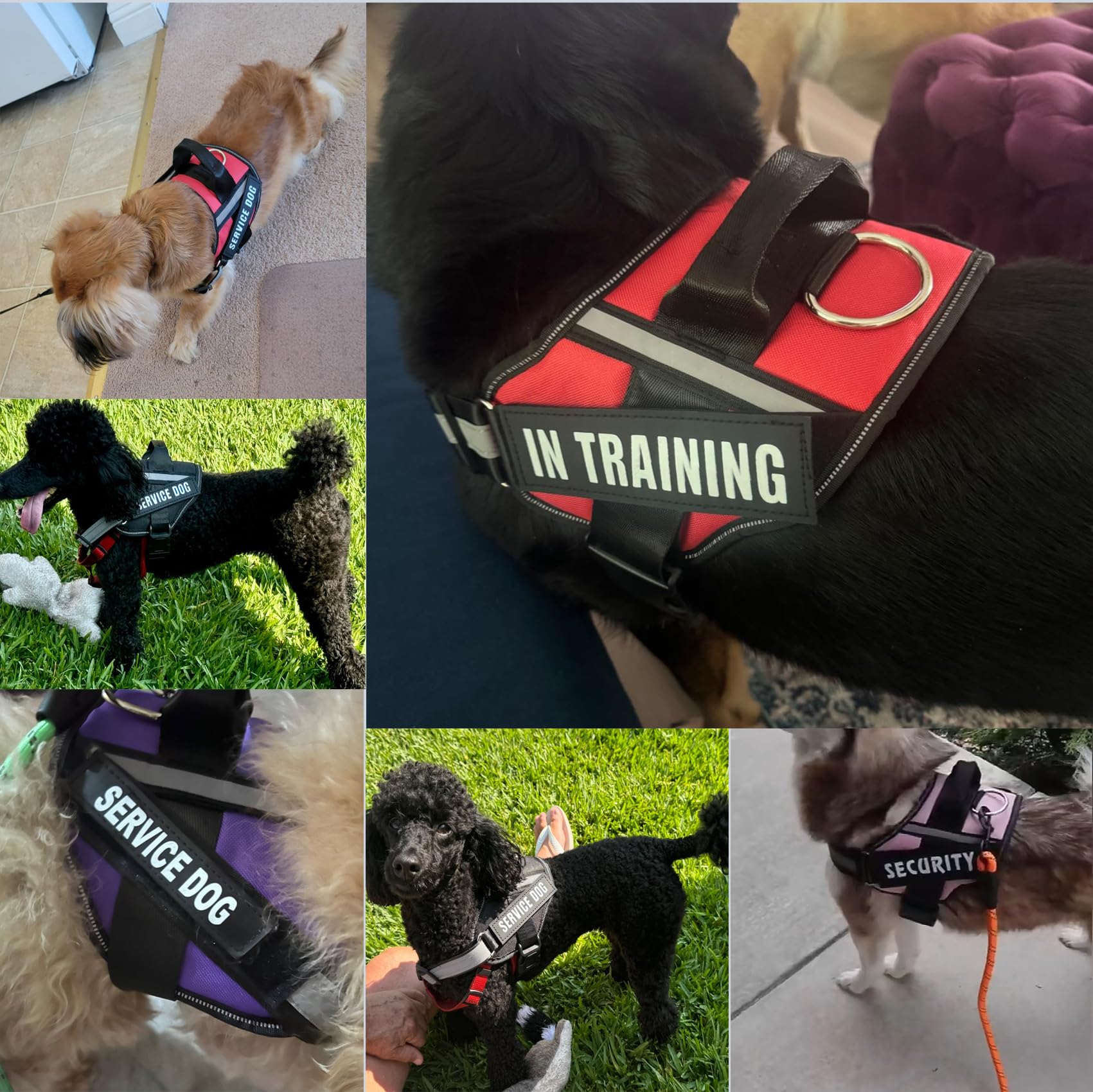 Shuangshu Service Dog Vest, No-Pull Harness With Handle, 6 Patches, Night Safe Reflective Straps, Adjustable Nylon Vest For Smal