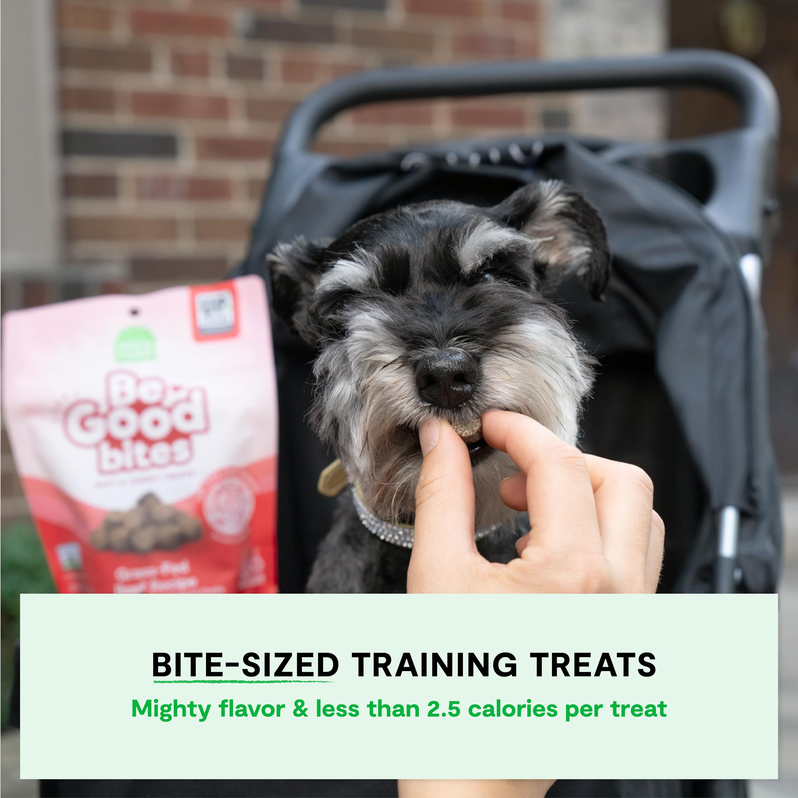 Open Farm, Be Good Bites, Soft Dog Training Treats, Small & Chewy, Made with Ethically & Sustainably Sourced Ingredients, Non-GM