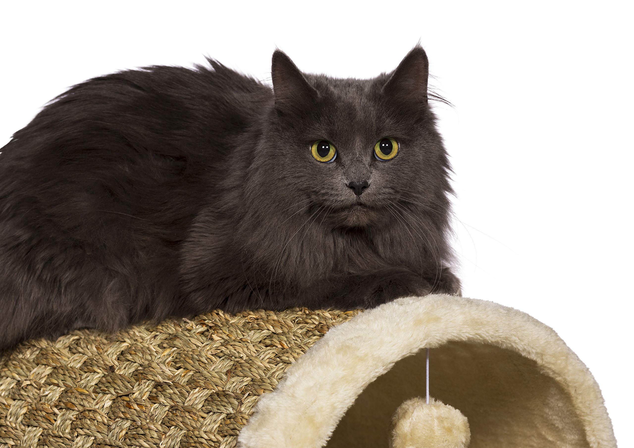 Prevue Pet Products Kitty Power Paws Plush Cozy Tunnel 7383 - Beige