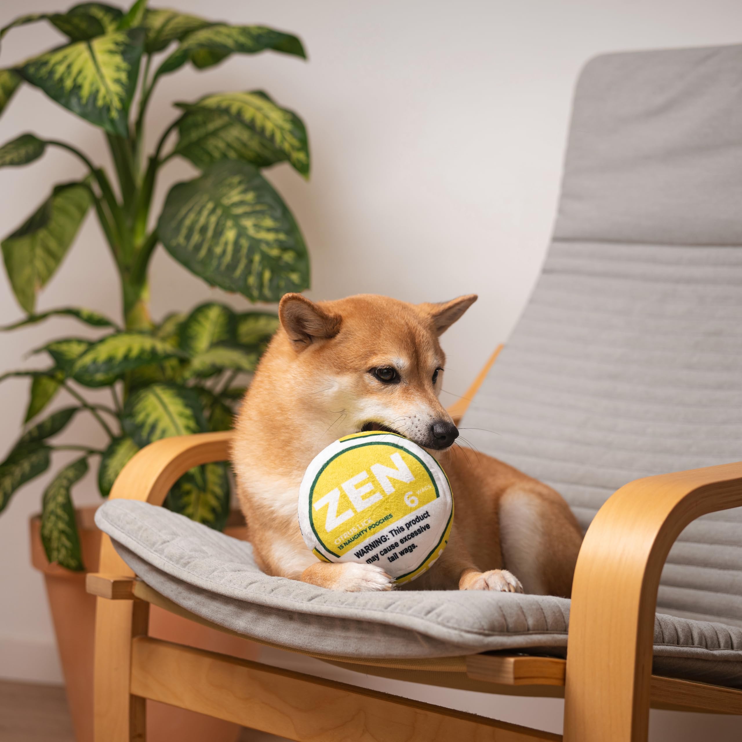 Nestpark Zen Pupper Deckies Parody Dog Toy - Plush Squeaky And Crinkle Funny Dog Toy (Citrus Lick)