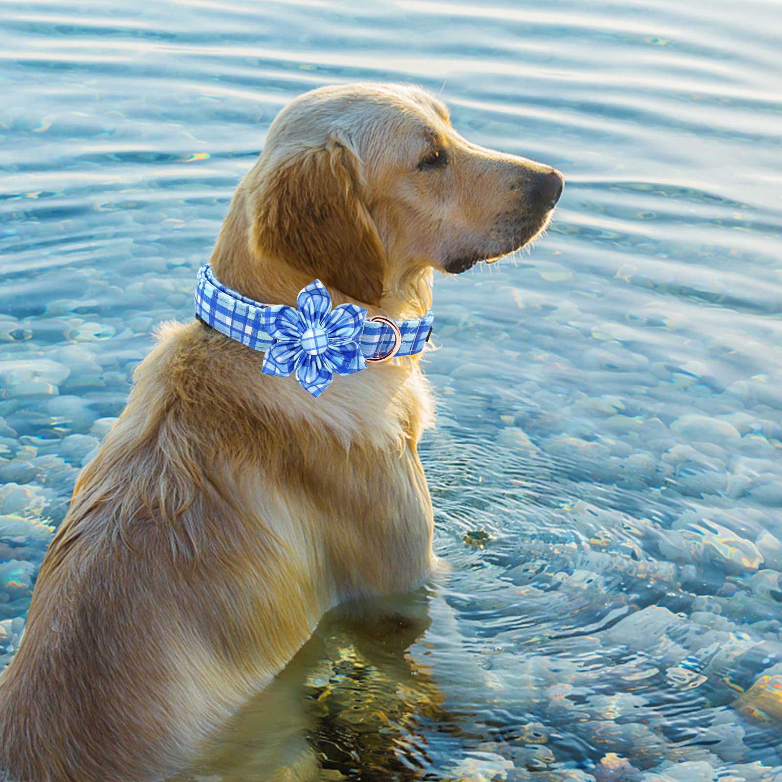 Elegant little tail Dog Collar with Flower - Blue Plaid Dog Collar Cute Flower Collar Adjustable Dog Collar for Large Dog