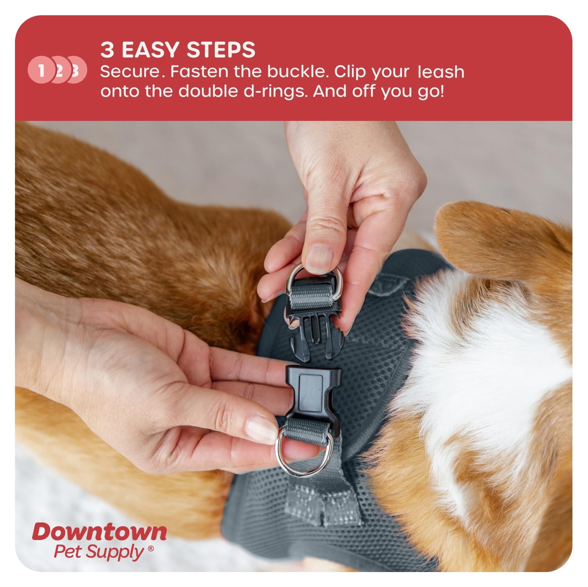Downtown Pet Supply Step In Dog Harness For Small Dogs No Pull, Medium, Titanium - Adjustable Harness With Padded Mesh Fabric An