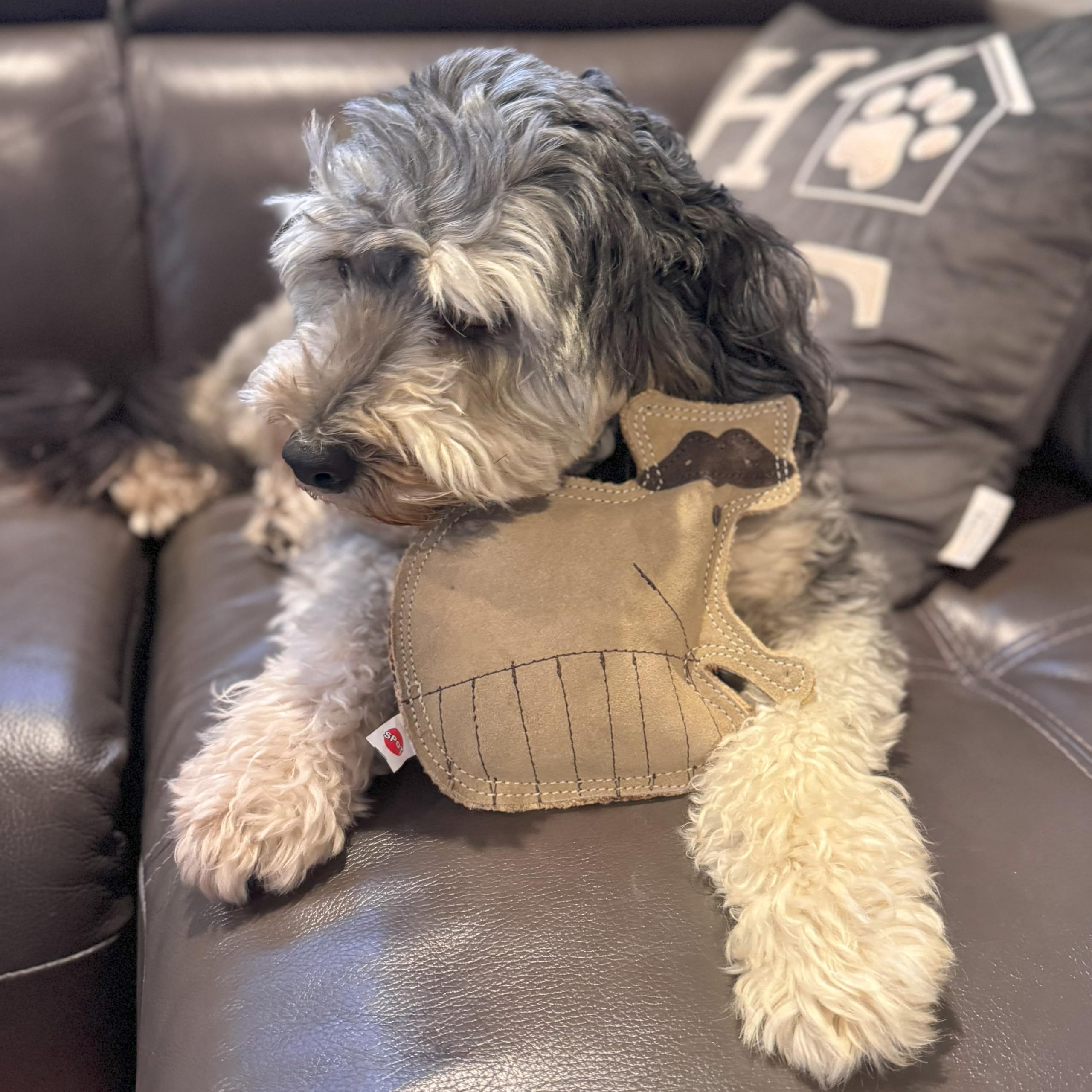 Spot Dura-Fused Leather Raccoon - Dog Toy With Squeaker, Made With Real Leather And Jute Fabric, Interactive Toy For Aggressive Chewers, Durable Squeaky Toy For Dogs And Puppies, 7.25In