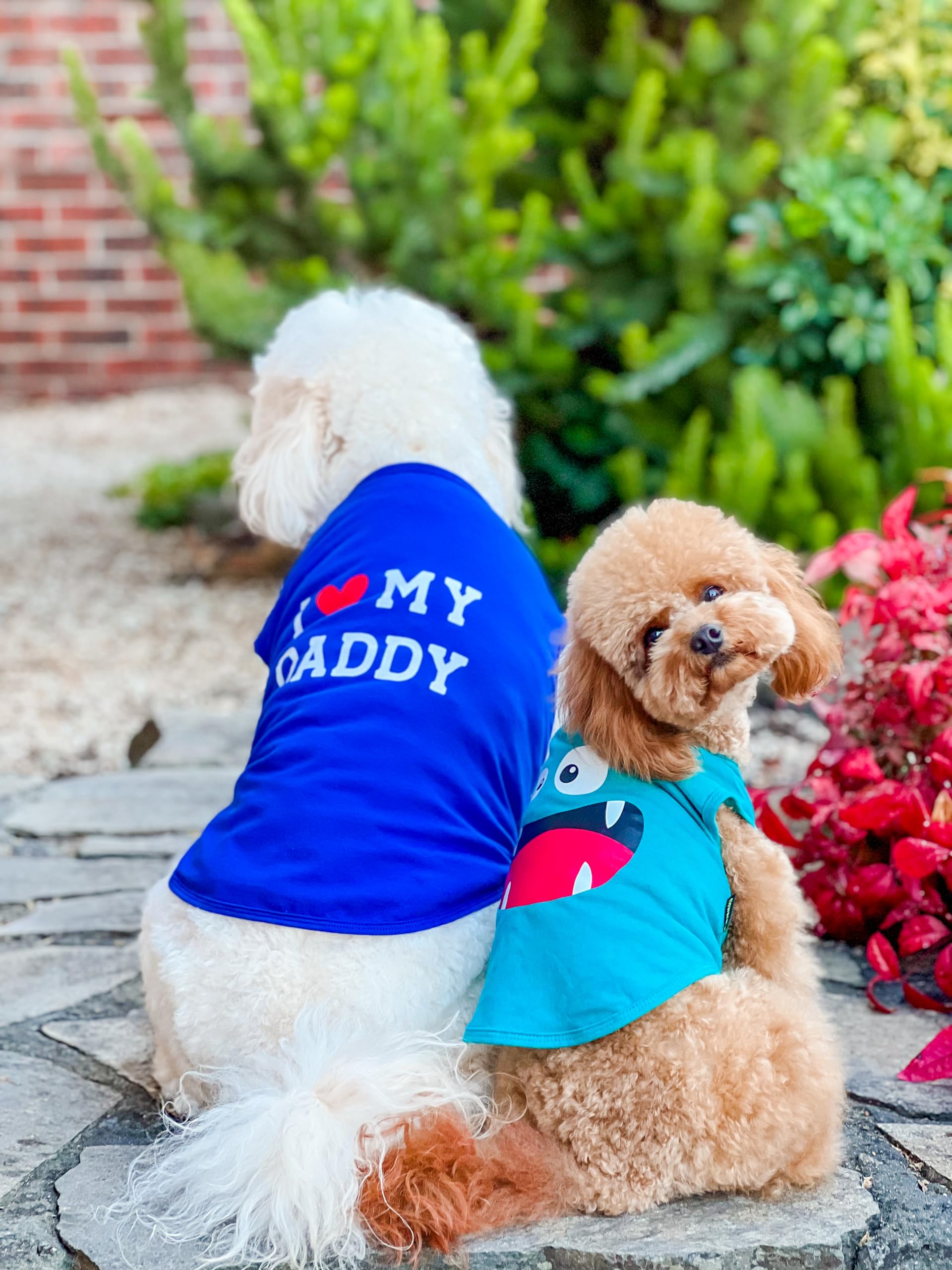 Fitwarm 3 Pack Monster Dog Shirt, Lightweight Funny Dog Tshirt, Summer Clothes For Small Dogs Boy Girl, Pet Outfit, Orange, Gree