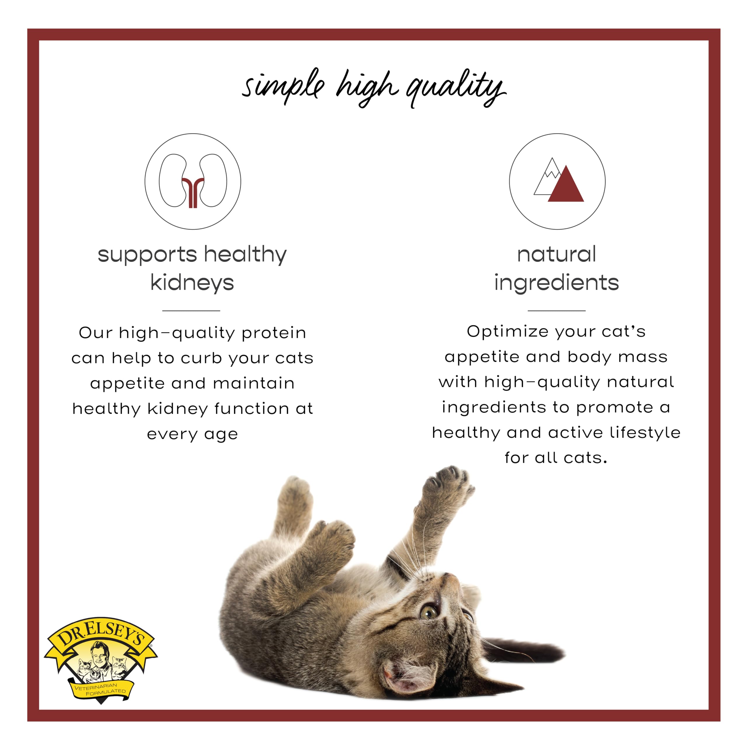 Dr. Elseys cleanprotein Original Salmon Recipe Wet Cat Food 5.3 oz (Pack of 24)