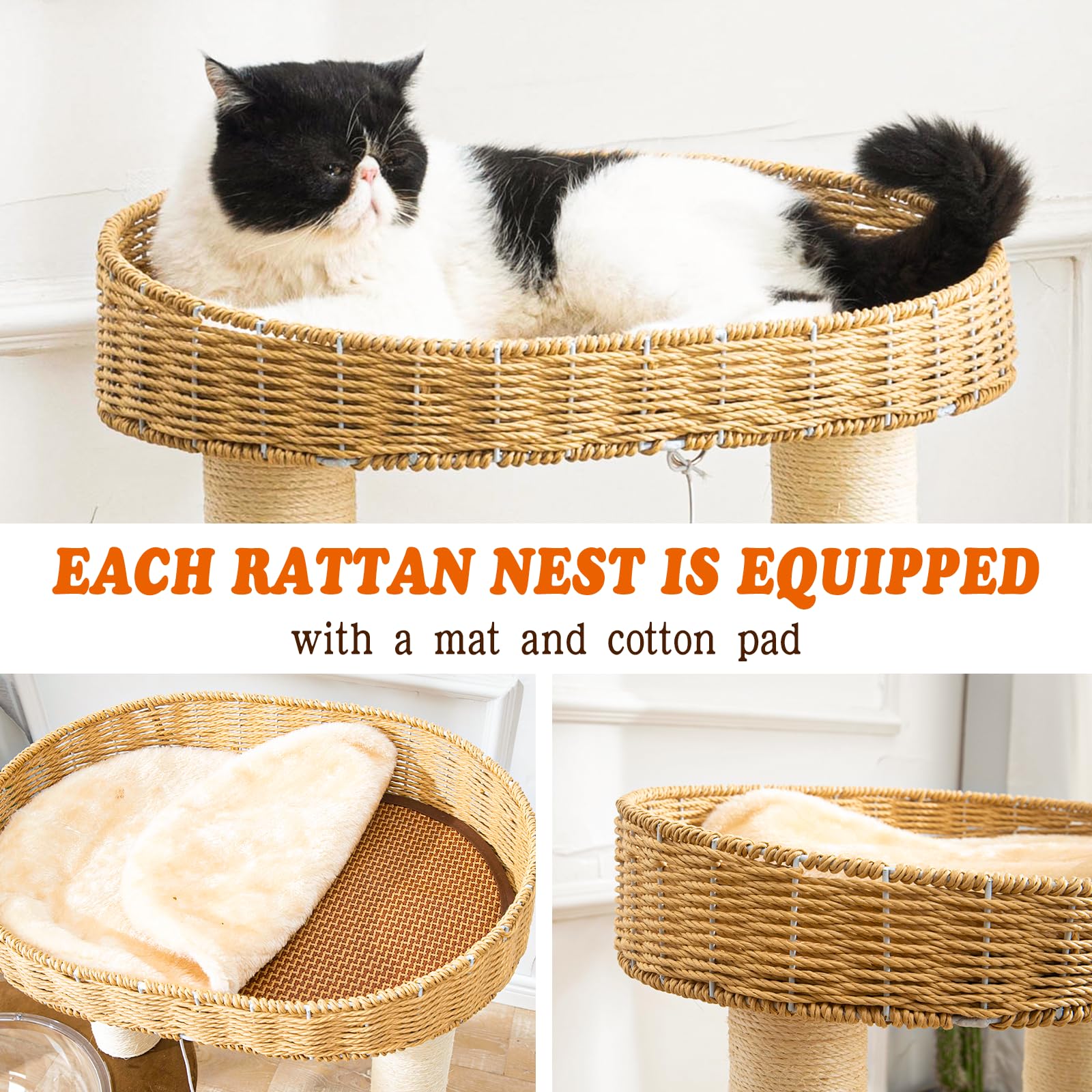 Modern Cat Tree for Indoor Cats, Wood Cat Tree with Natural Sisal-Covered Scratching Posts, Unique Cat Furniture Activity Center