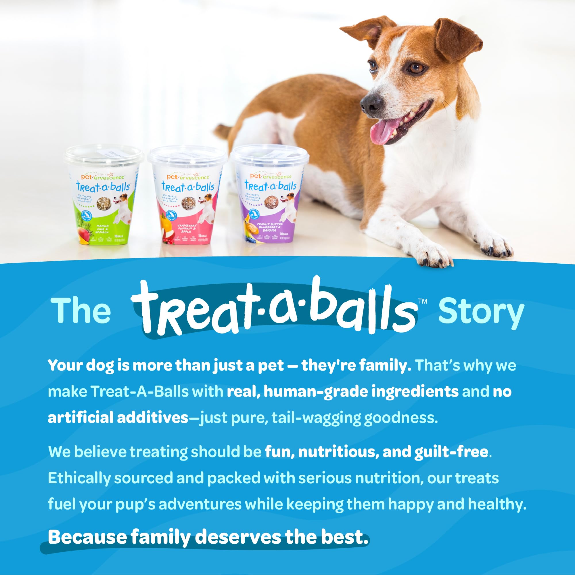 TREAT-A-BALLS Chewy & Soft Dog Treats Bulk - All Natural, Non-GMO, Gluten Free - All Breeds, Sizes, Ages - Made in New Zealand -