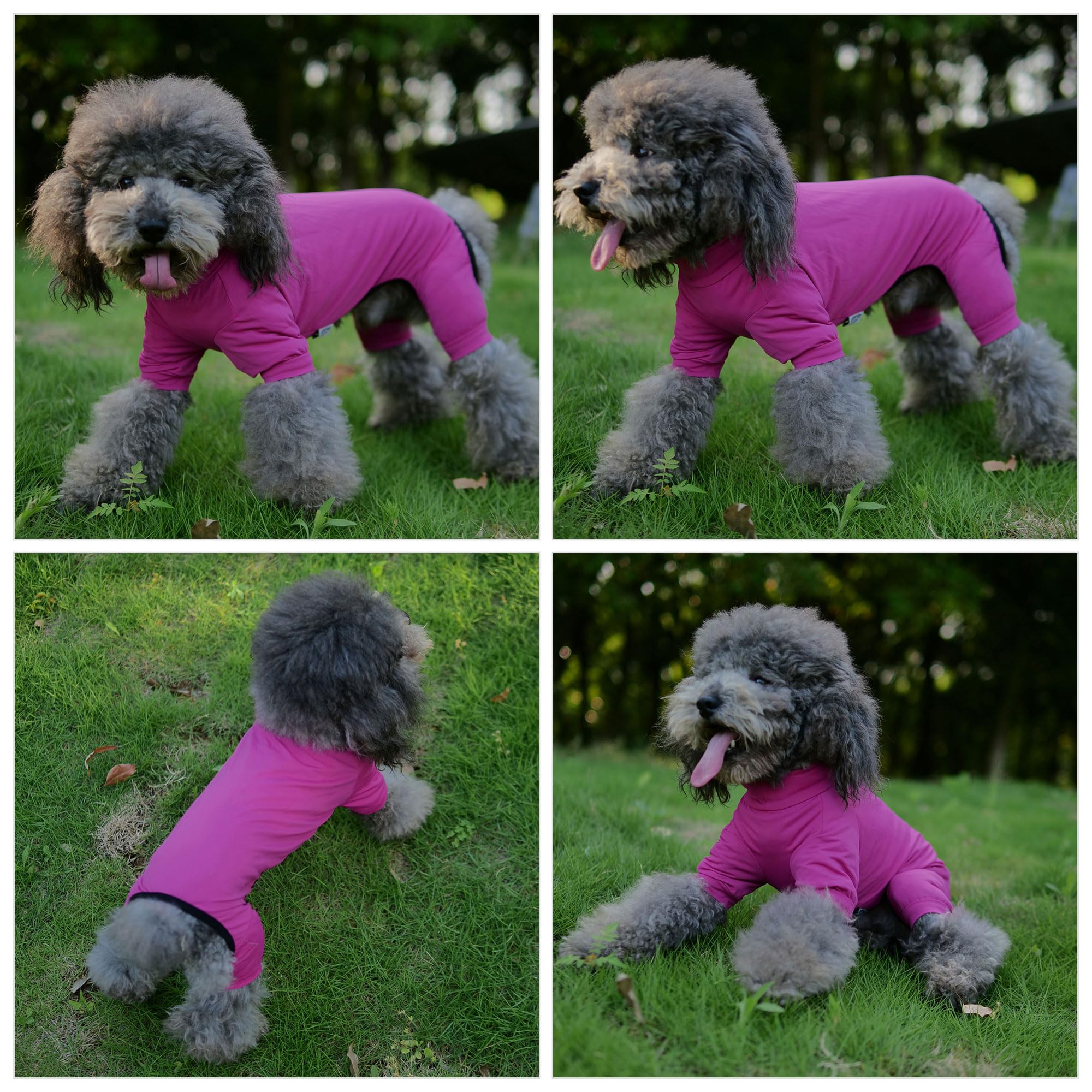 Lovelonglong Dog Jumpsuit With Uv Protection And Quick-Dry Fabric For Spring Summer Pet Pajamas Purplish Red L