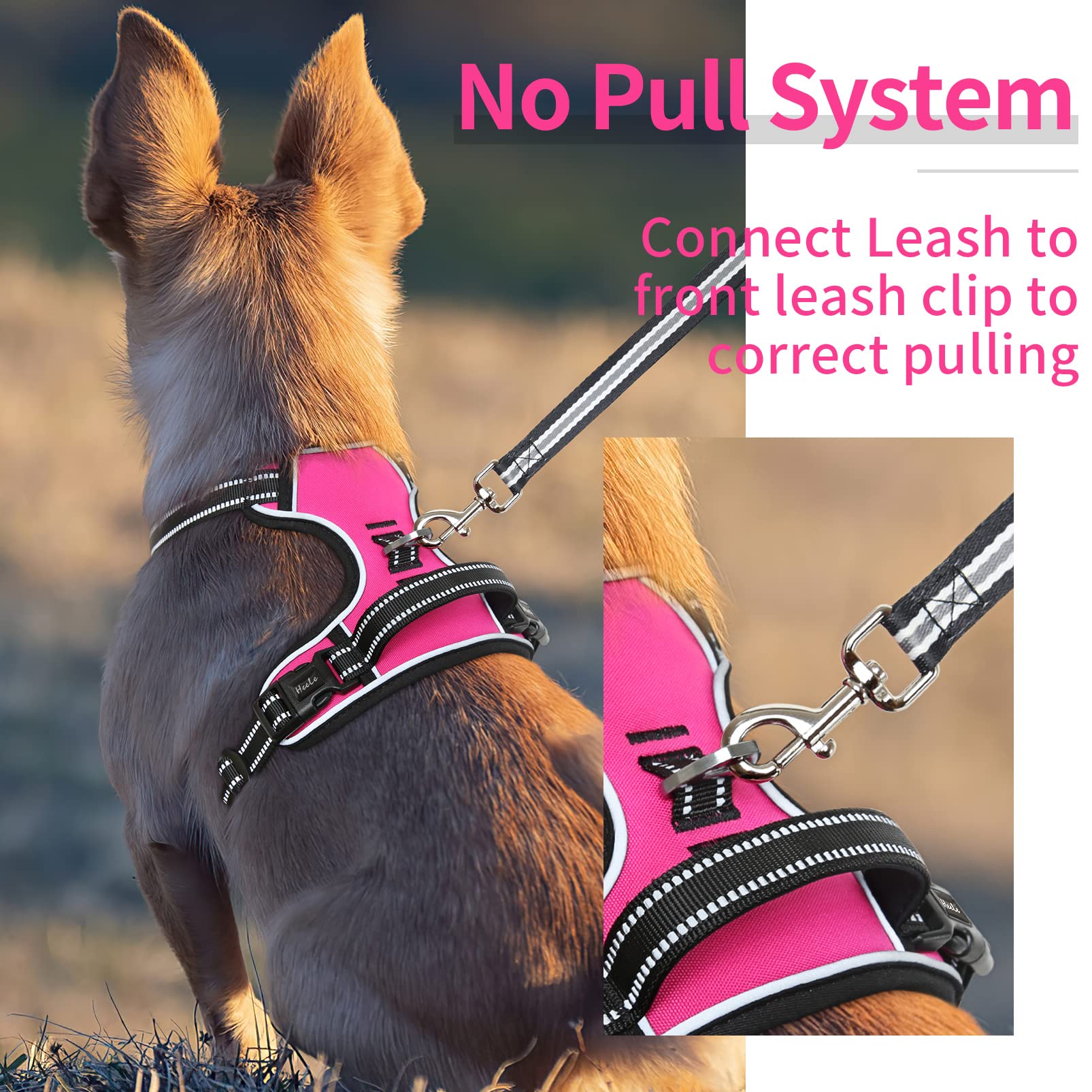 Heele Dog Harness Dog Harness Small Dog No Pull Harness With Soft Handle Reflective Harness Adjustable, Rose, S