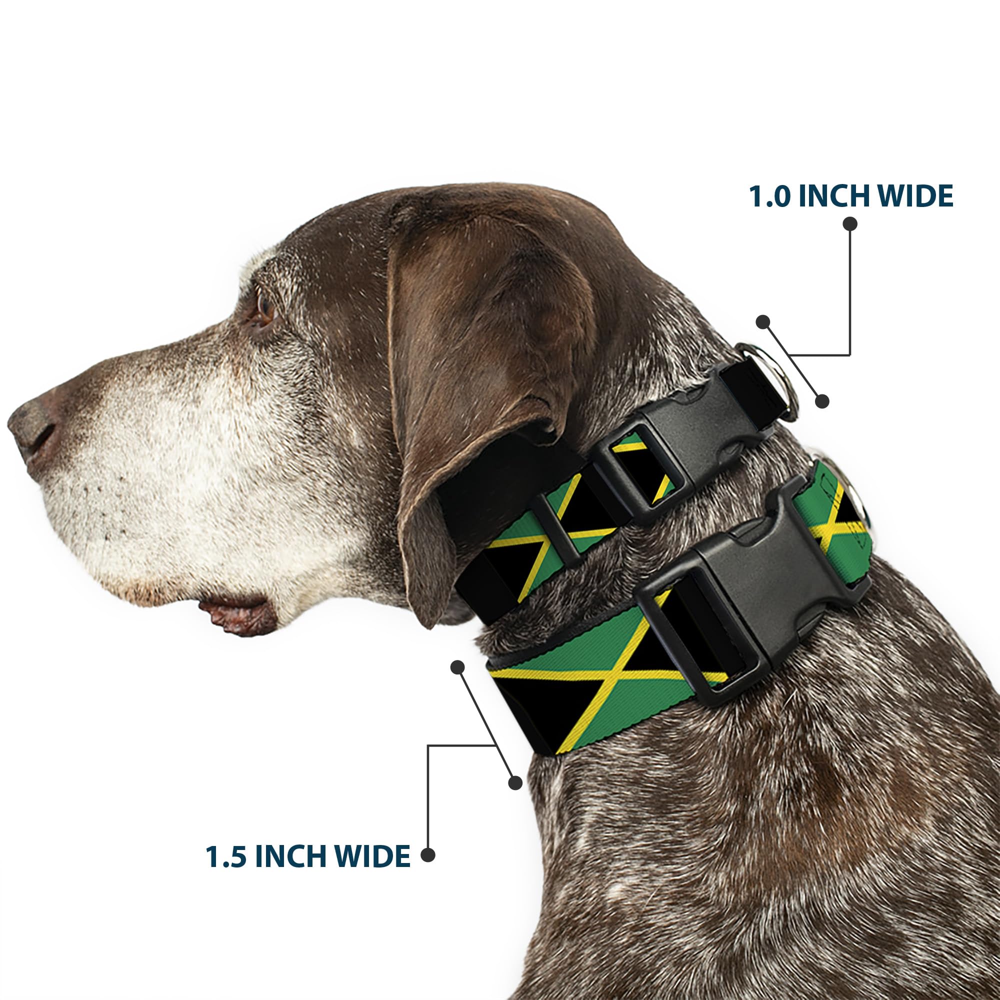 Buckle-Down Plastic Clip Collar - Jamaica Flags - 1'' Wide - Fits 9-15'' Neck - Small