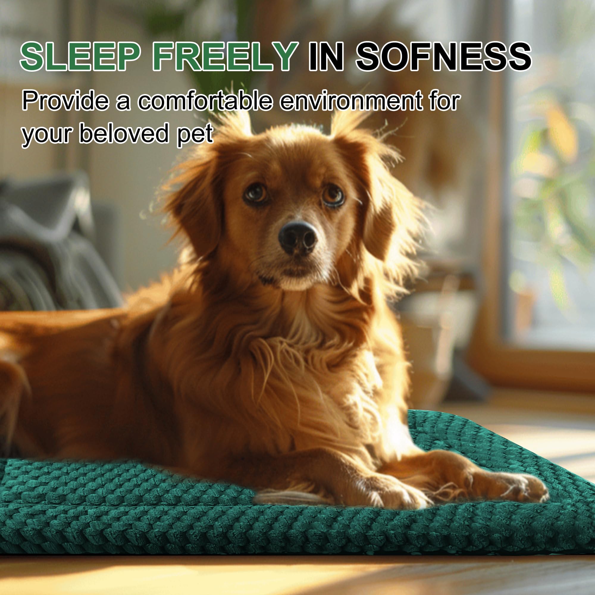 Dog Bed Crate Mat, Soft Durable Washable Anti-Slip Kennel Pad for Dogs & Cats, Reversible (Dark Green, M(30*20*1.5))