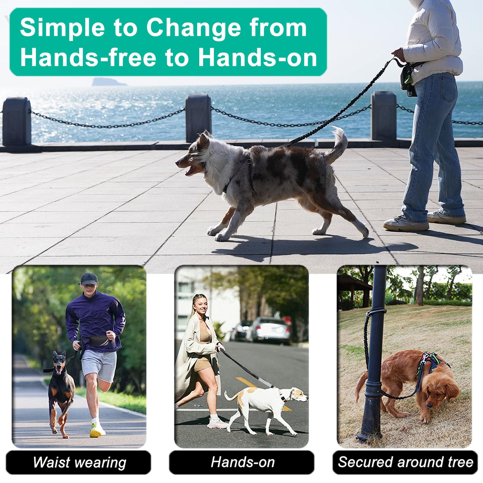 Hands Free Dog Leash With Pouch, Waist Leash For Dog Walking With Water Bottle Holder, Reflective Stitching, Dual Handle, Bungee