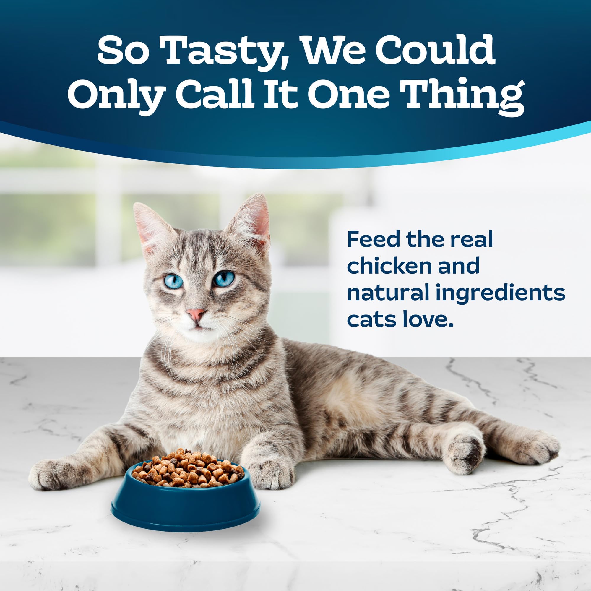 Blue Buffalo Tastefuls Natural Dry Food for Active Adult Cats, Chicken and Brown Rice Recipe, 15-lb. Bag