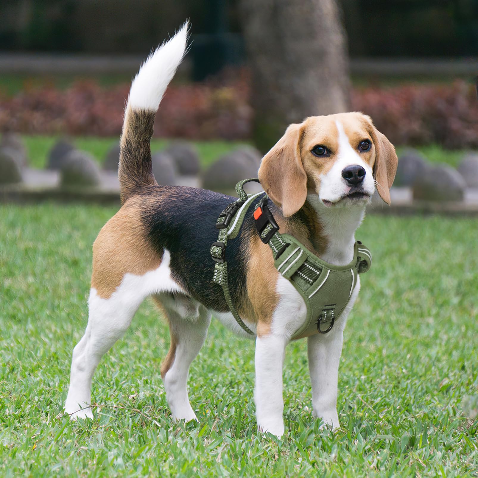 Timos No Pull Dog Harness, Medium, Lock Green, 1680D Oxford, Adjustable, Reflective Vest with Front Clip and Control Handle