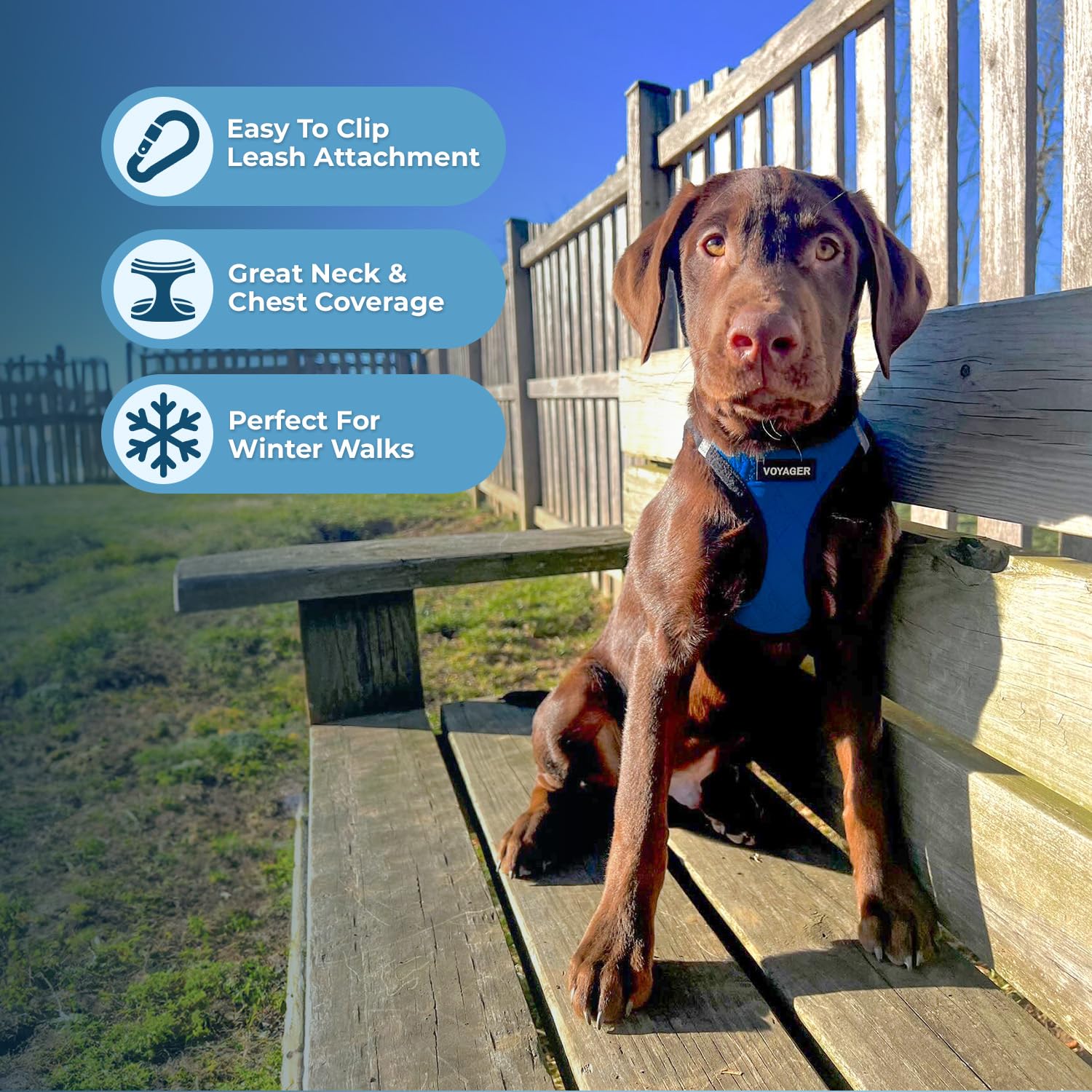 Voyager Step-In Plush Dog Harness - Soft Plush, Step In Vest Harness For Small And Medium Dogs By Best Pet Supplies - Royal Blue Faux Leather, Xs (Chest: 13 - 14.5')