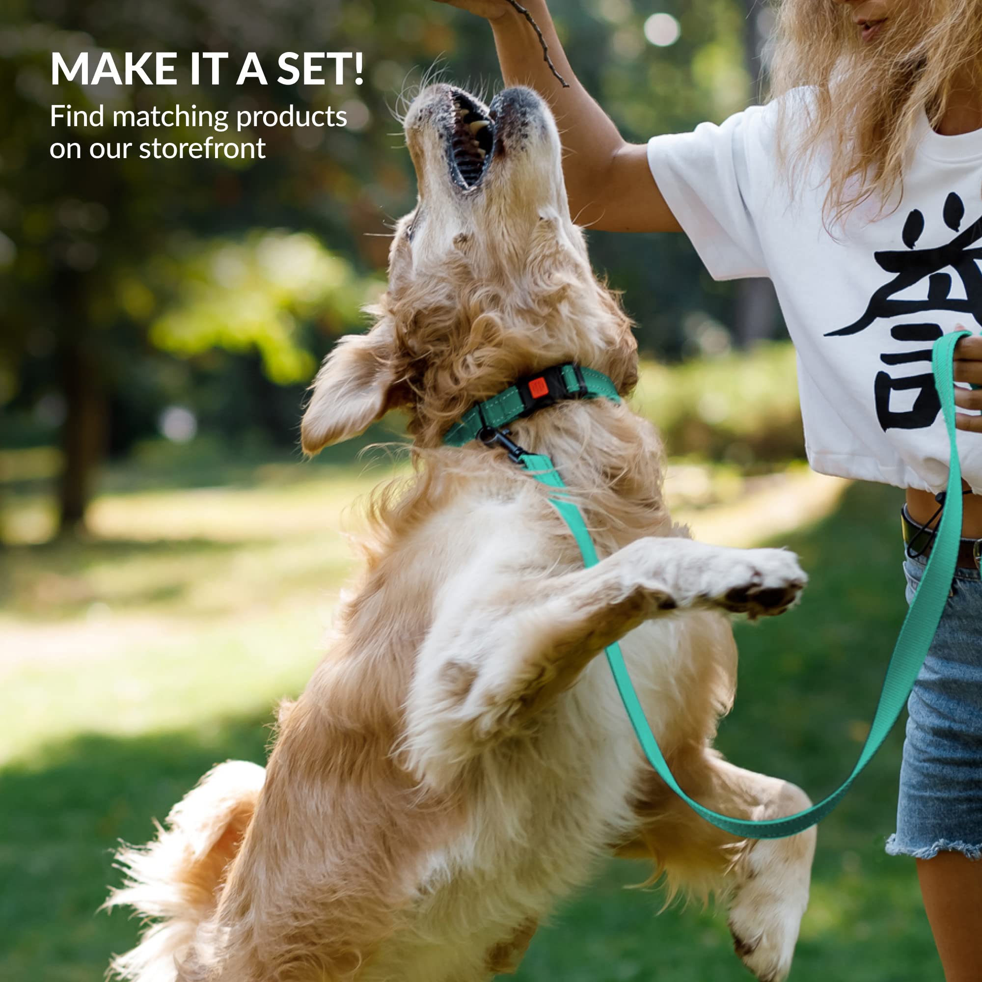 Collardirect Reflective Padded Dog Collar For A Small, Medium, Large Dog Or Puppy With A Quick Release Buckle - Boy And Girl - Nylon Suitable For Swimming (18-26 Inch, Mint Green)