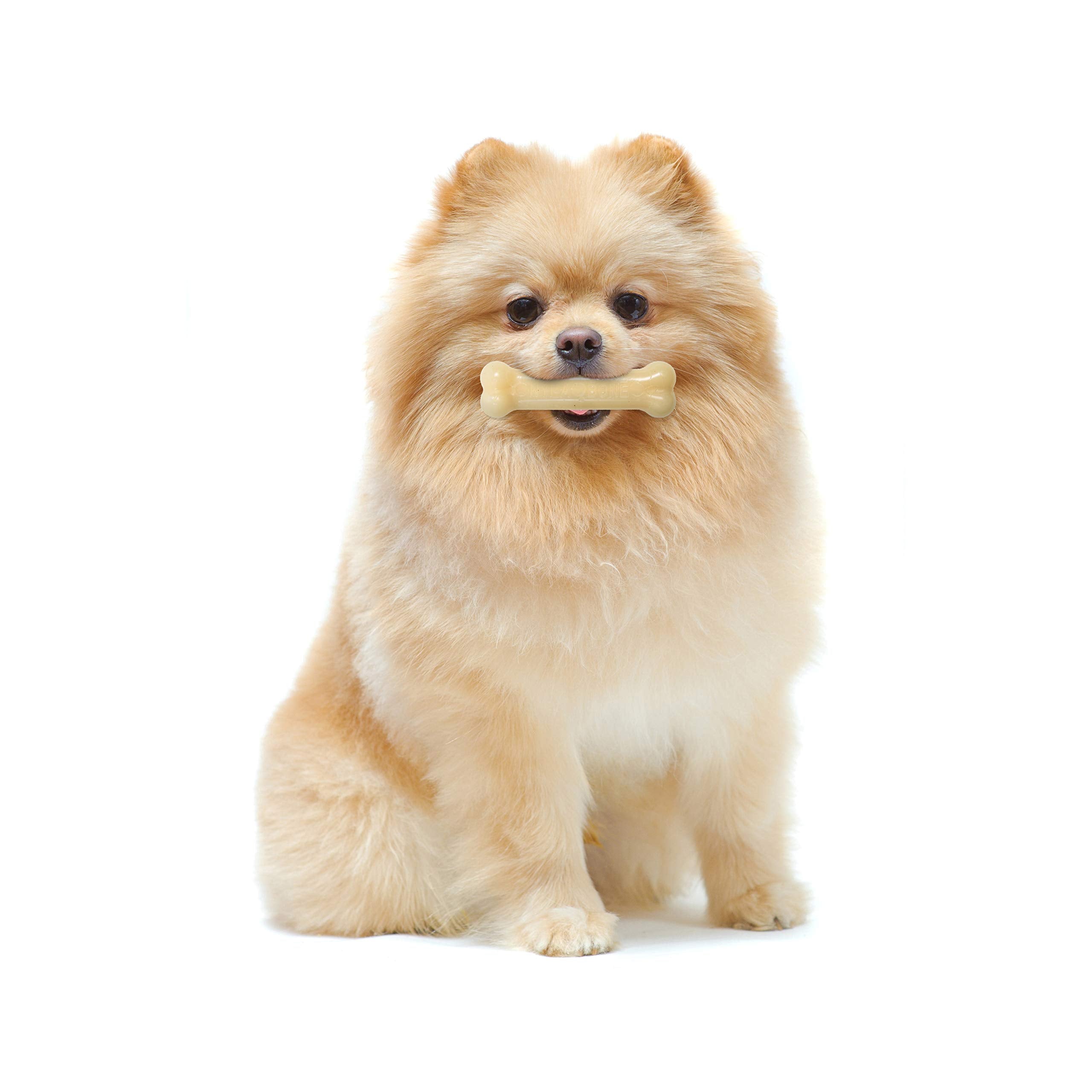 Nylabone (5 Pack) Dura Chew Original Flavored Bone Dog Chew Toys - Size Petite