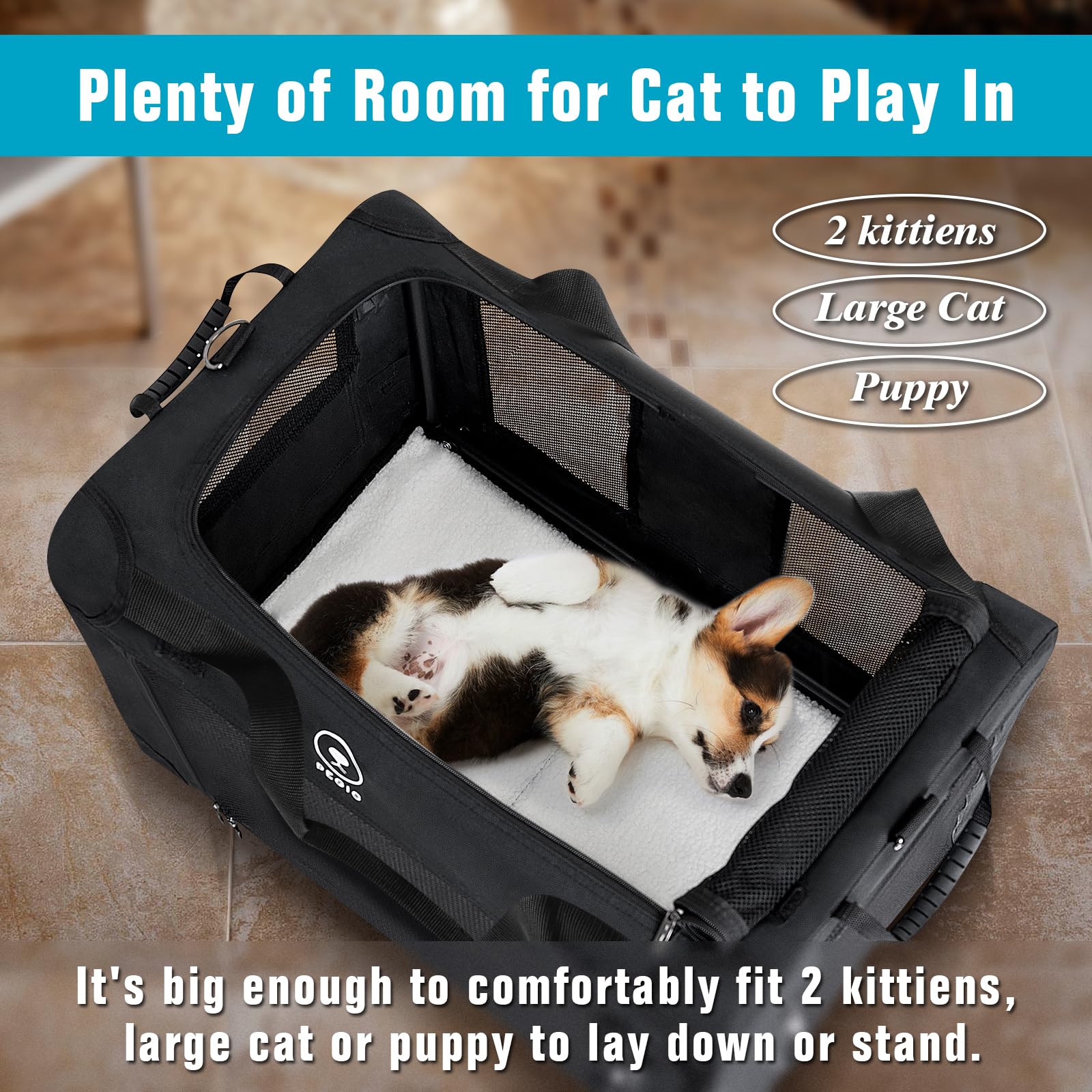 Pegic Extra Large Cat Carrier For Car Travel, Pegic Soft Sided Collapsible Pet Carrier For Outdoor And Indoor Uses, Roomy Cat Ca