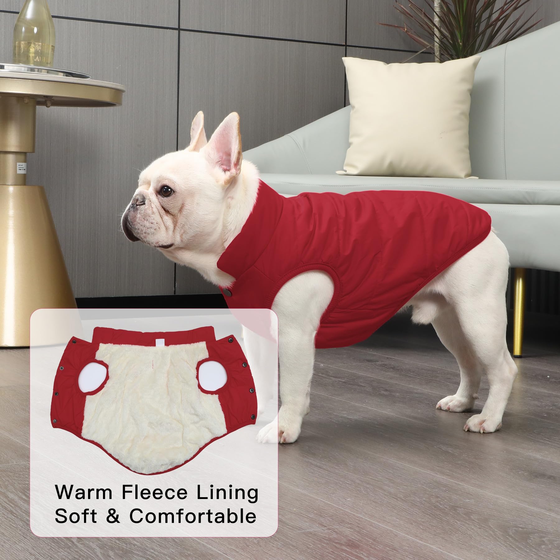 Joydaog 2 Layers Fleece Lined Warm Dog Jacket For Puppy Winter Cold Weather,Soft Windproof Small Dog Coat,Red S