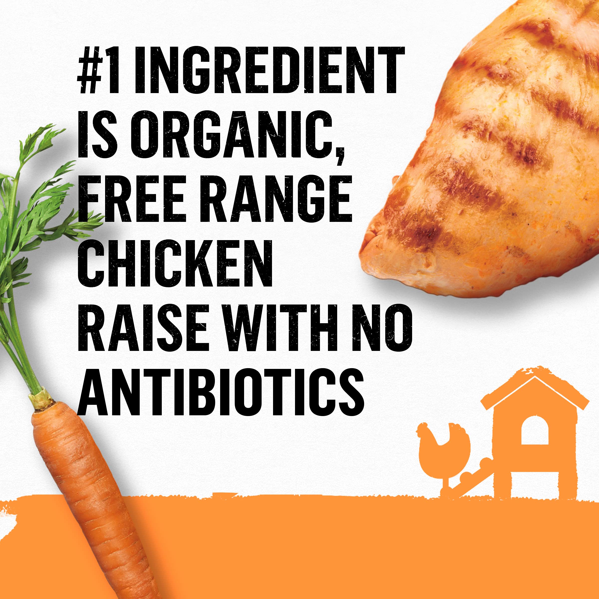 Purina Beyond Organic Wet Cat Food Pate, Organic Chicken & Carrot Adult Recipe - (Pack of 12) 3 oz. Cans