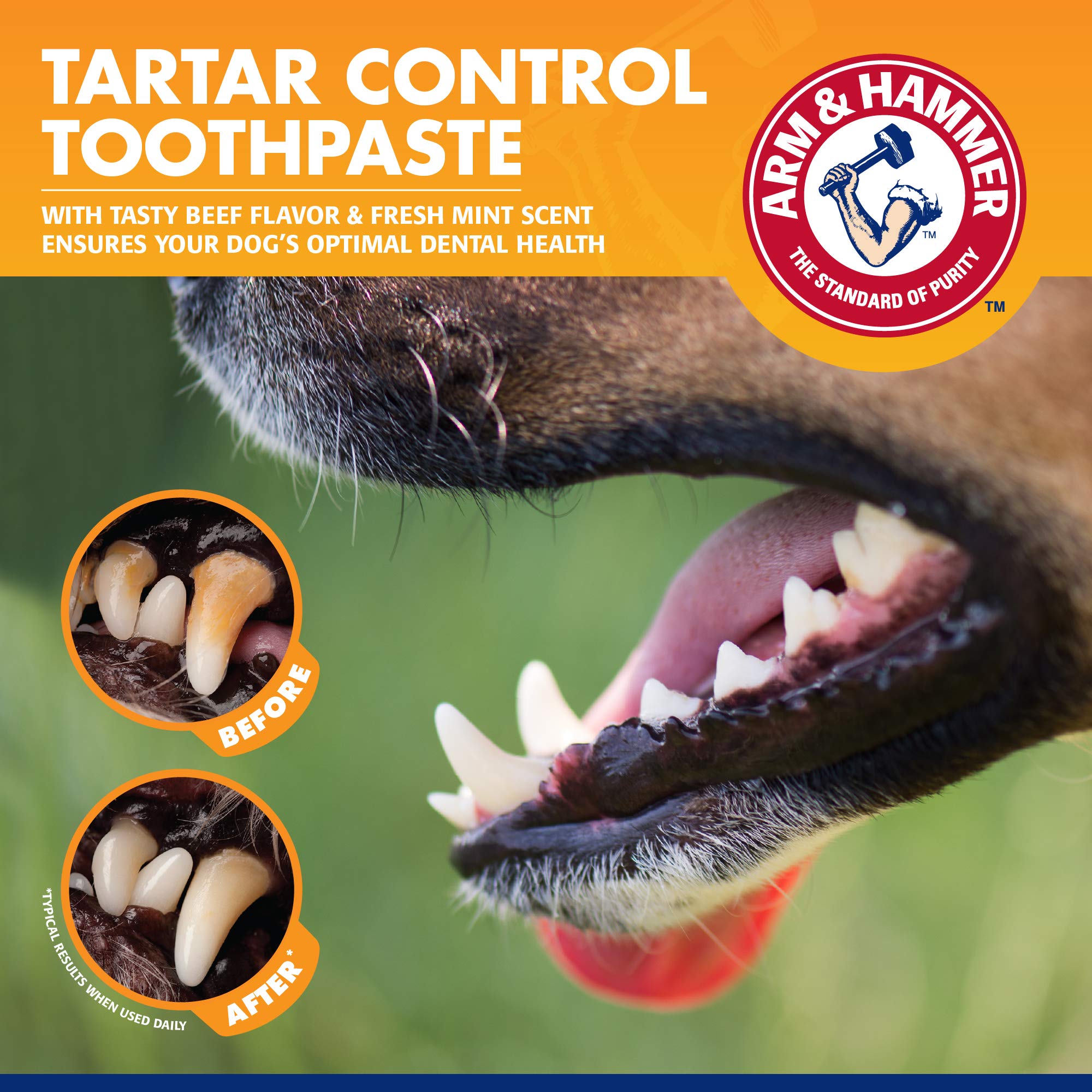 Arm & Hammer for Pets Tartar Control Kit for Dogs | Contains Toothpaste, Toothbrush & Fingerbrush | Reduces Plaque & Tartar Buil