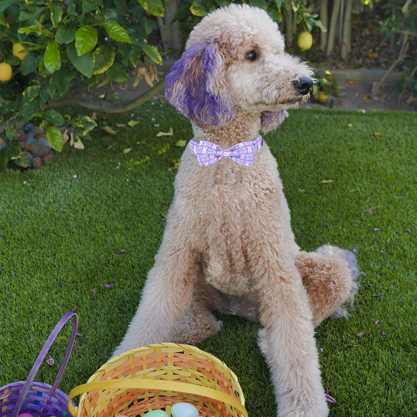 Mr. Chubbyface Easter Dog Collar Rabbit Dog Collar With Bow Adjustable Dog Collar Bowtie For Small Medium Large Dogs