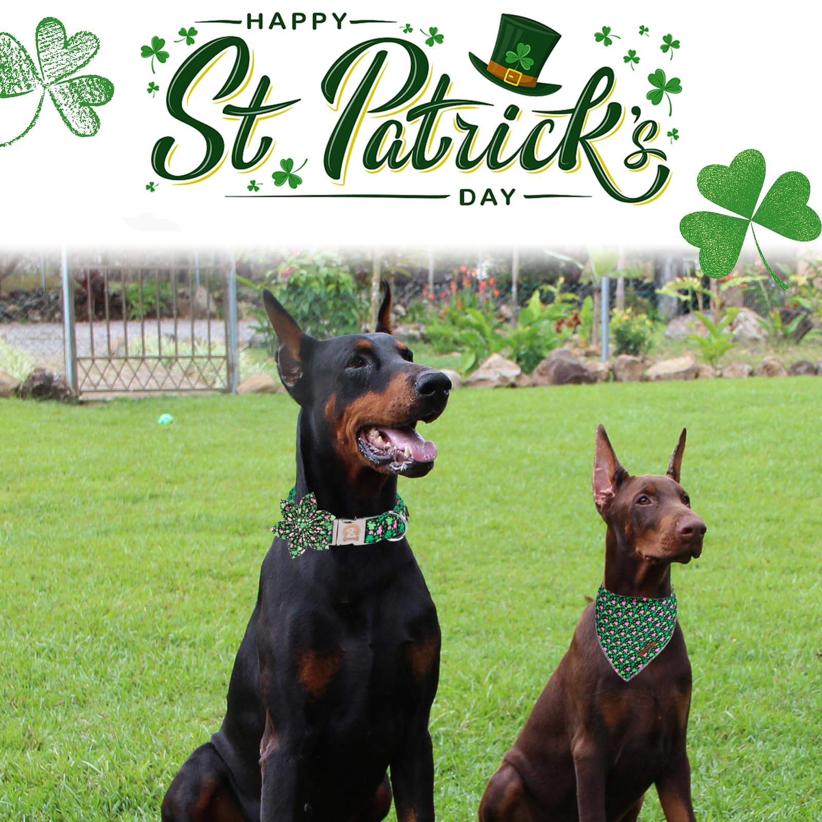 Mr. Chubbyface St.Patrick'S Clover Dog Collar With Flower, Pink Green Clovers Shamrock Adjustable Dog Collar, Cute St.Patrick'S