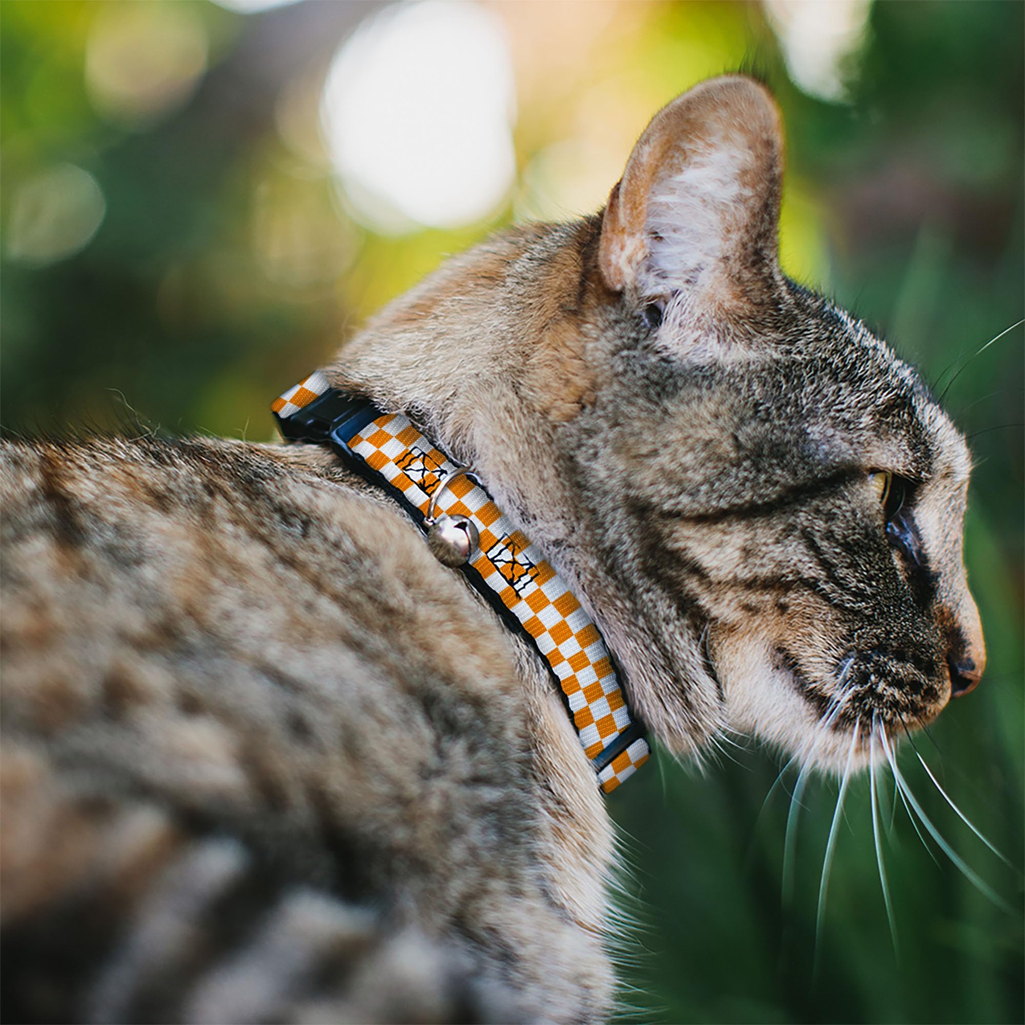 Buckle-Down Cat Collar Breakaway, 0.5" Wide, Fits 8-12" Neck, Multicolor Checker, Model DC-BABKSR-W30303-0.5