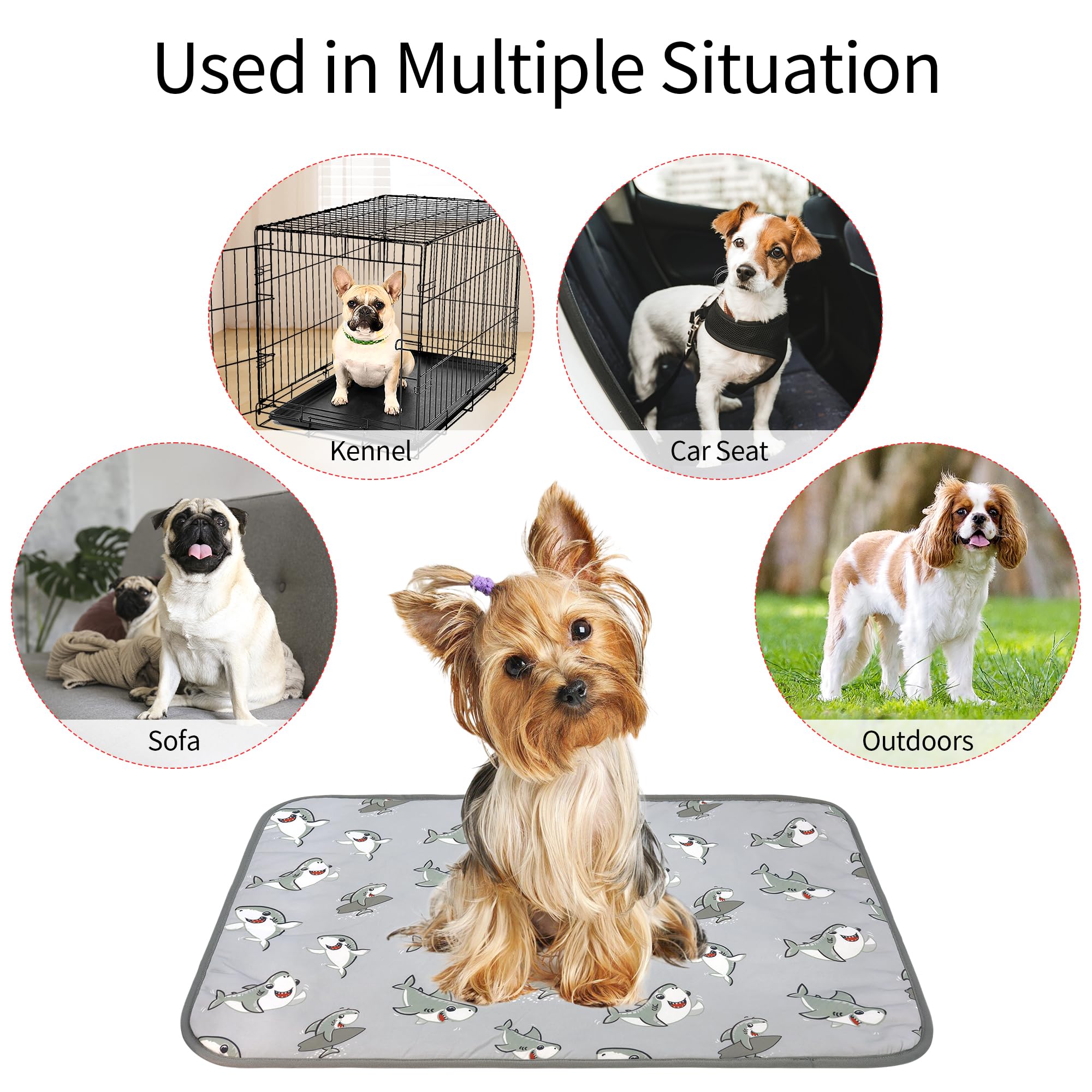 Delifur Dog Cooling Mat- Pet Cooling Mat Outdoor For Dogs Self Cooling Pad For Puppy Small Medium Dog Machine Washable (Large, G