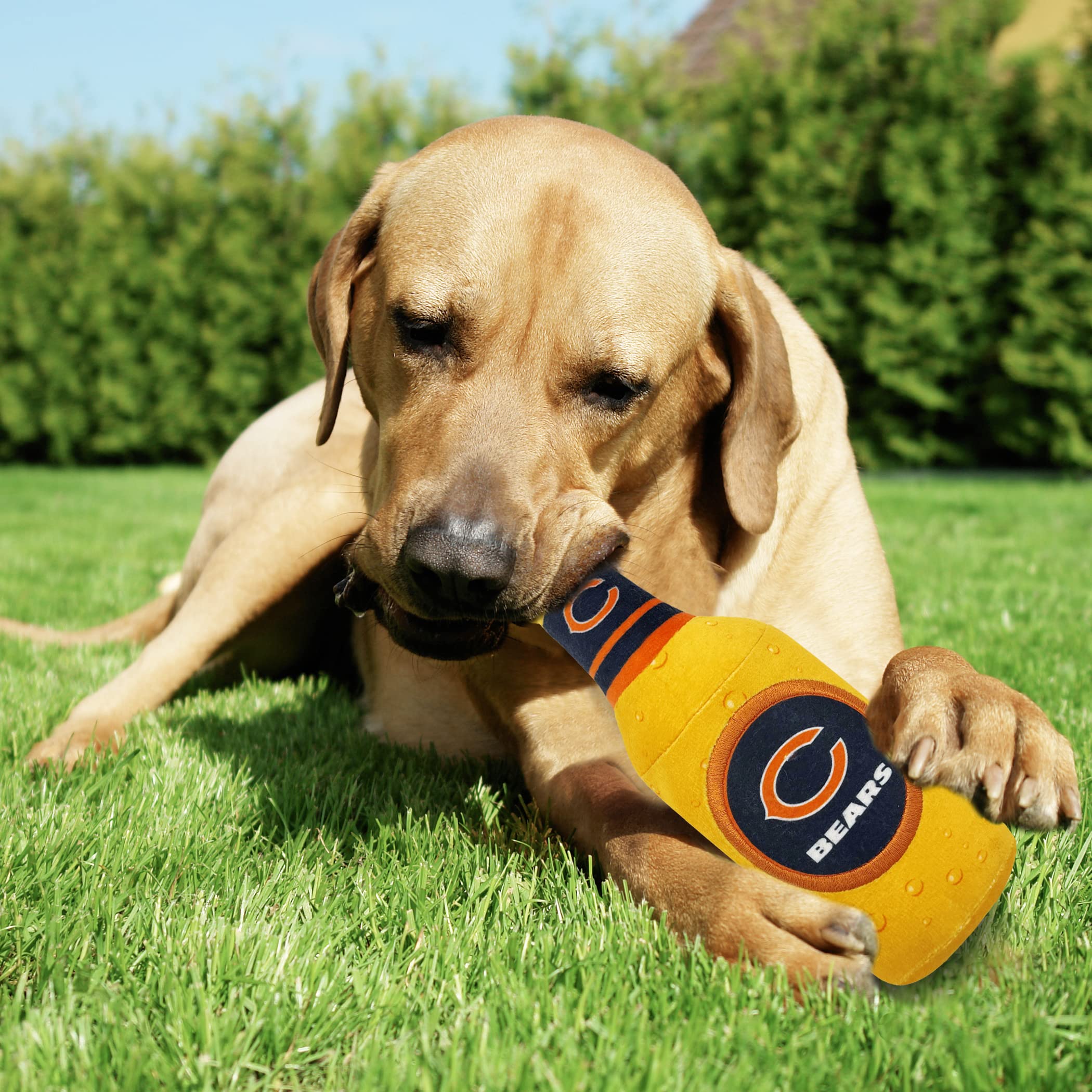 Nfl Chicago Bears Beer Bottle Plush Dog & Cat Squeak Toy - Cutest Stadium Soda Bottle Snack Plush Toy For Dogs & Cats With Inner