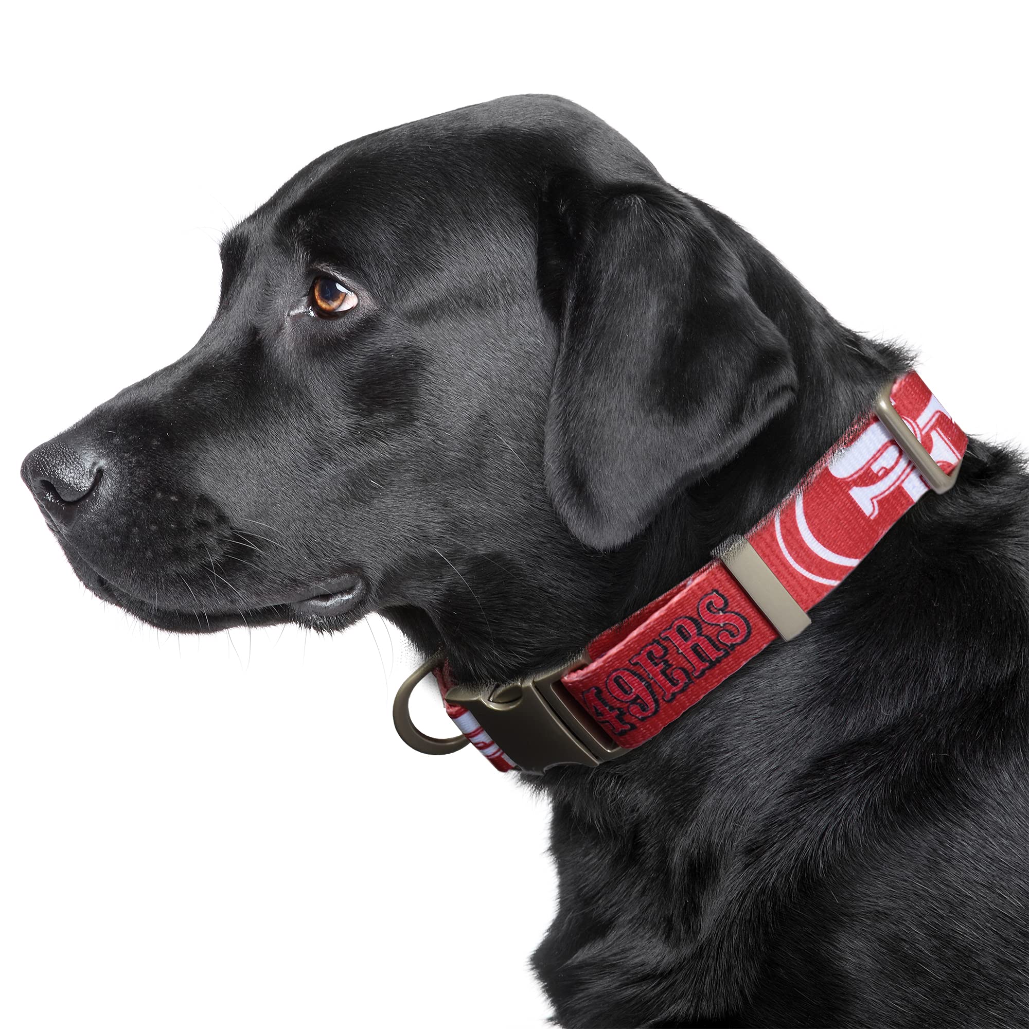 Littlearth San Francisco 49Ers Nfl Premium Pet Collar
