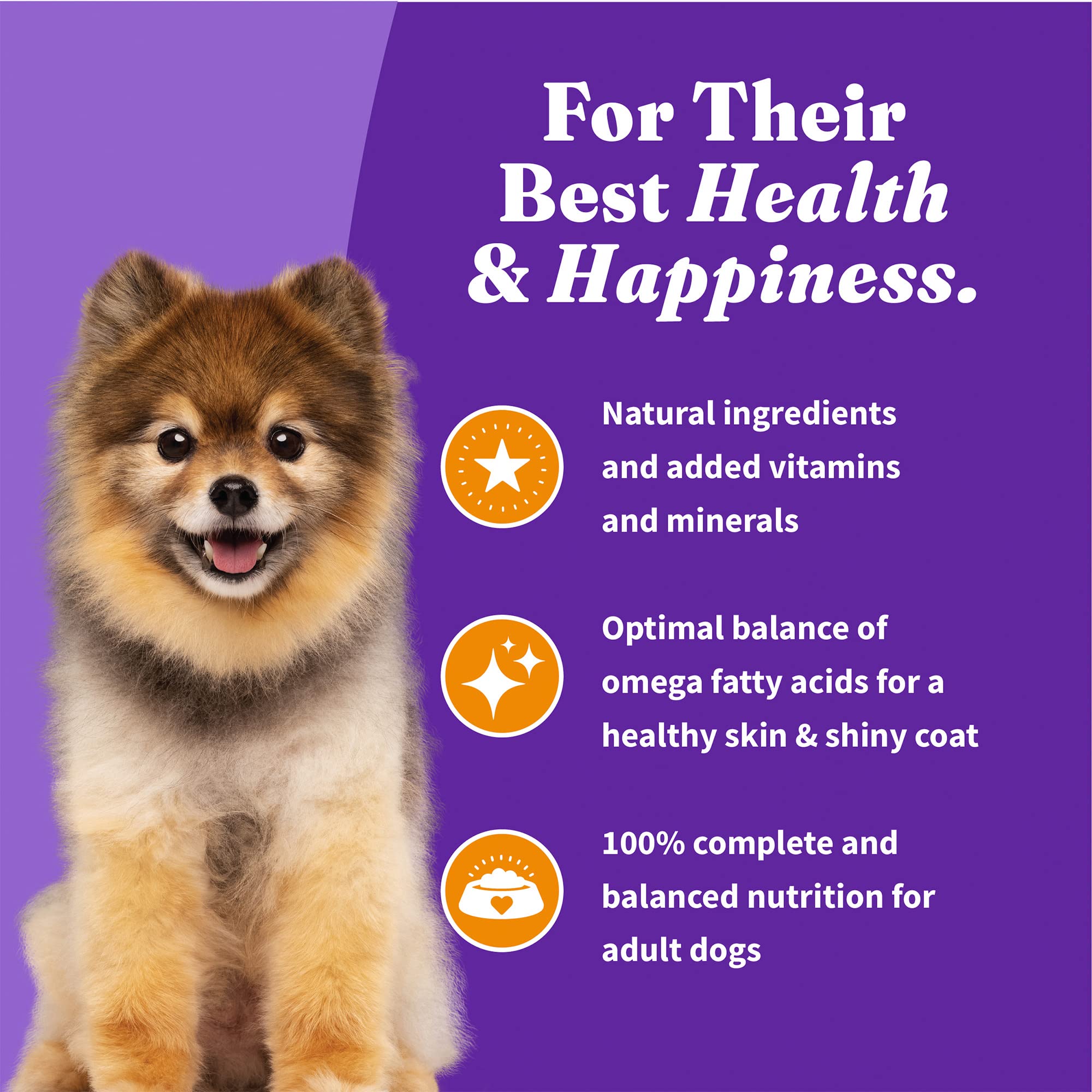 Halo Holistic Dog Food, Complete Digestive Health Cage-Free Chicken and Brown Rice Recipe, Dry Dog Food Bag, Small Breed Formula