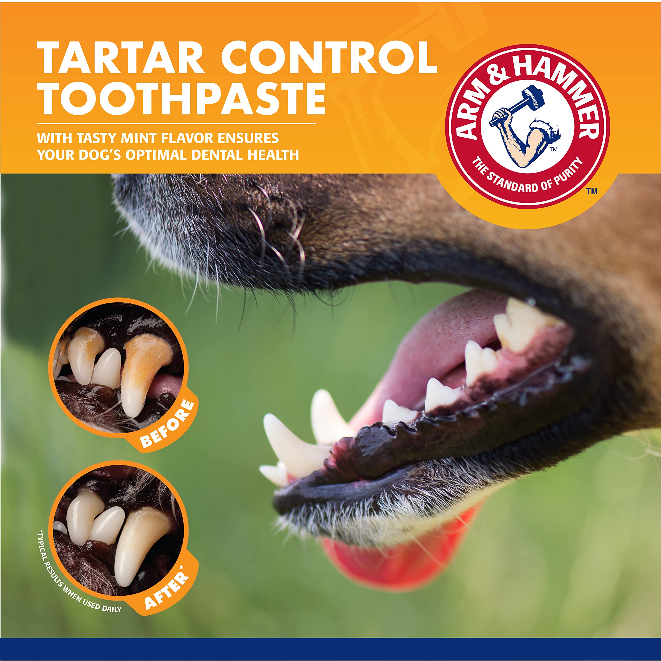 Arm & Hammer for Pets Dog Dental Care Fresh Breath Kit | Includes Arm & Hammer Baking Soda Dog Toothpaste and Dog Toothbrush | D