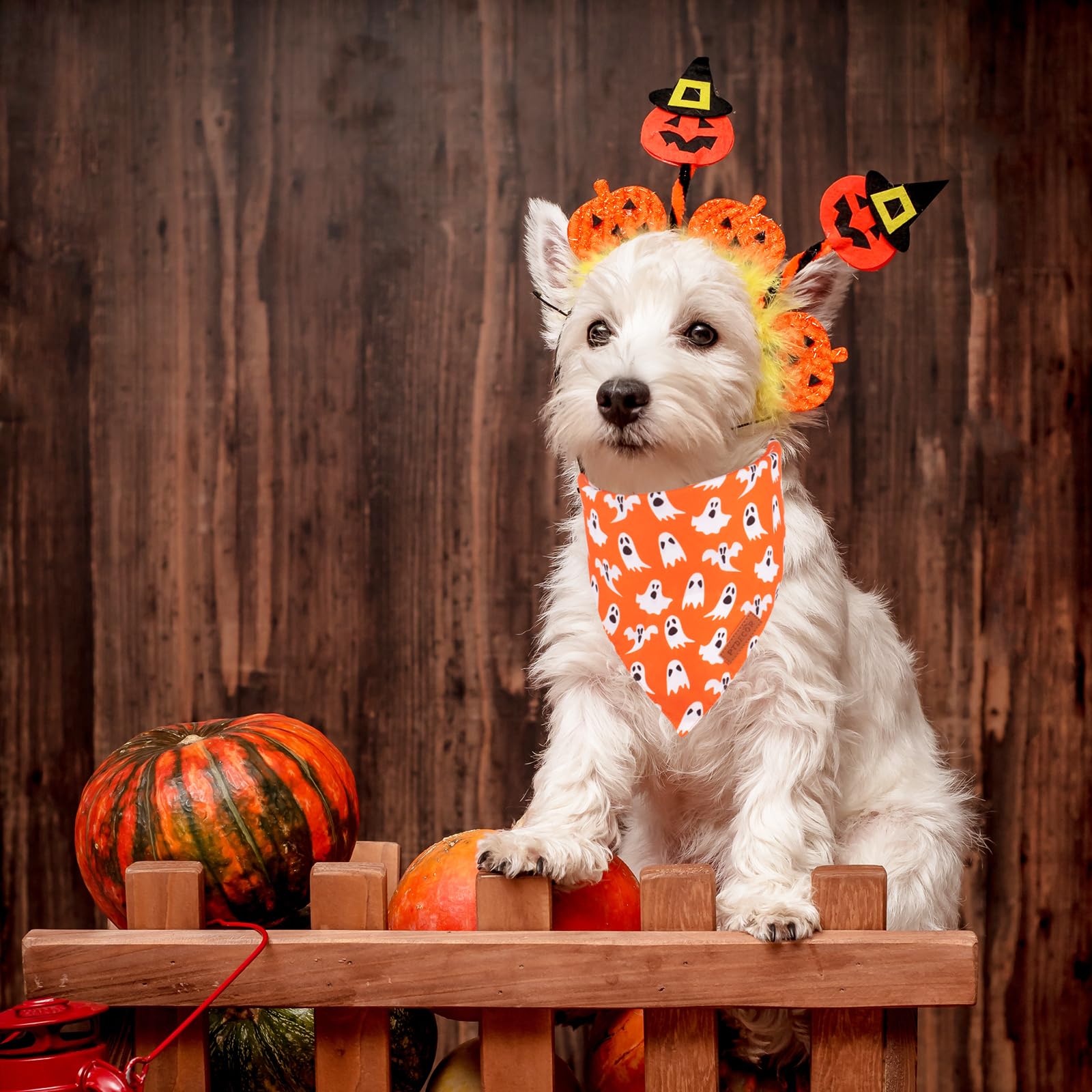 Ptdecor Halloween Dog Bandana, Reversible Holiday Pet Puppy Scarf, Multi Size, Triangle Halloween Bandanas For Small Dogs Puppie