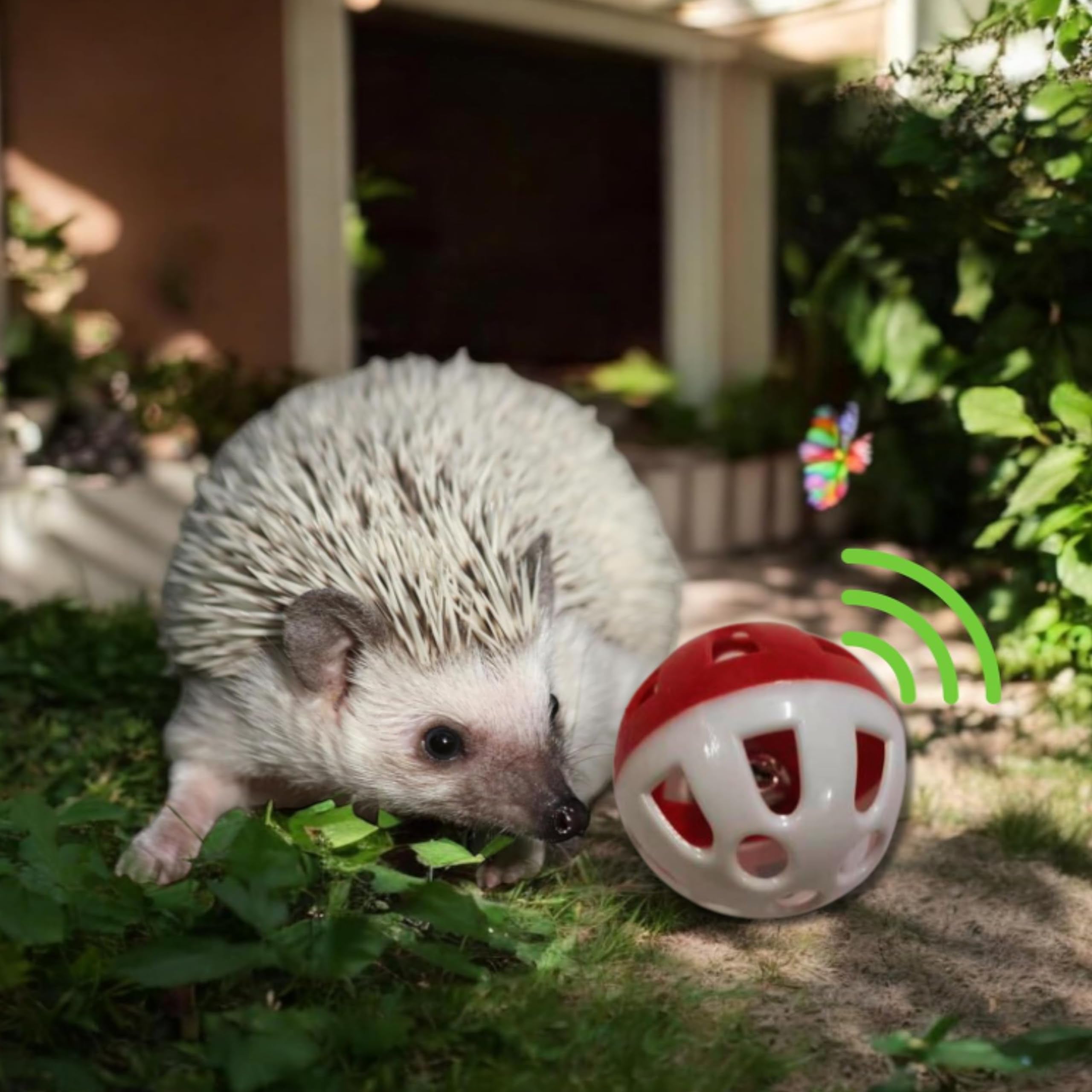 Toys For Hedgehogs Small Animal Accessories, 2 Pcs Cute Hedgehog Toys And Bell Ball For Hedgehog, Funny Stuffed Toy And Balls To