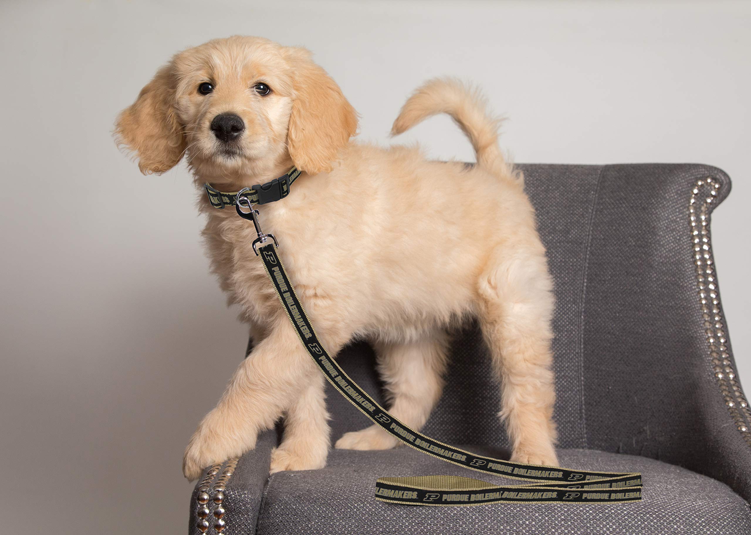 Ncaa Pet Leash, Small, Purdue Boilermakers, Dog Leash, Shiny & Colorful Leash For Dogs & Cats Licensed By The Ncaa, Old Version