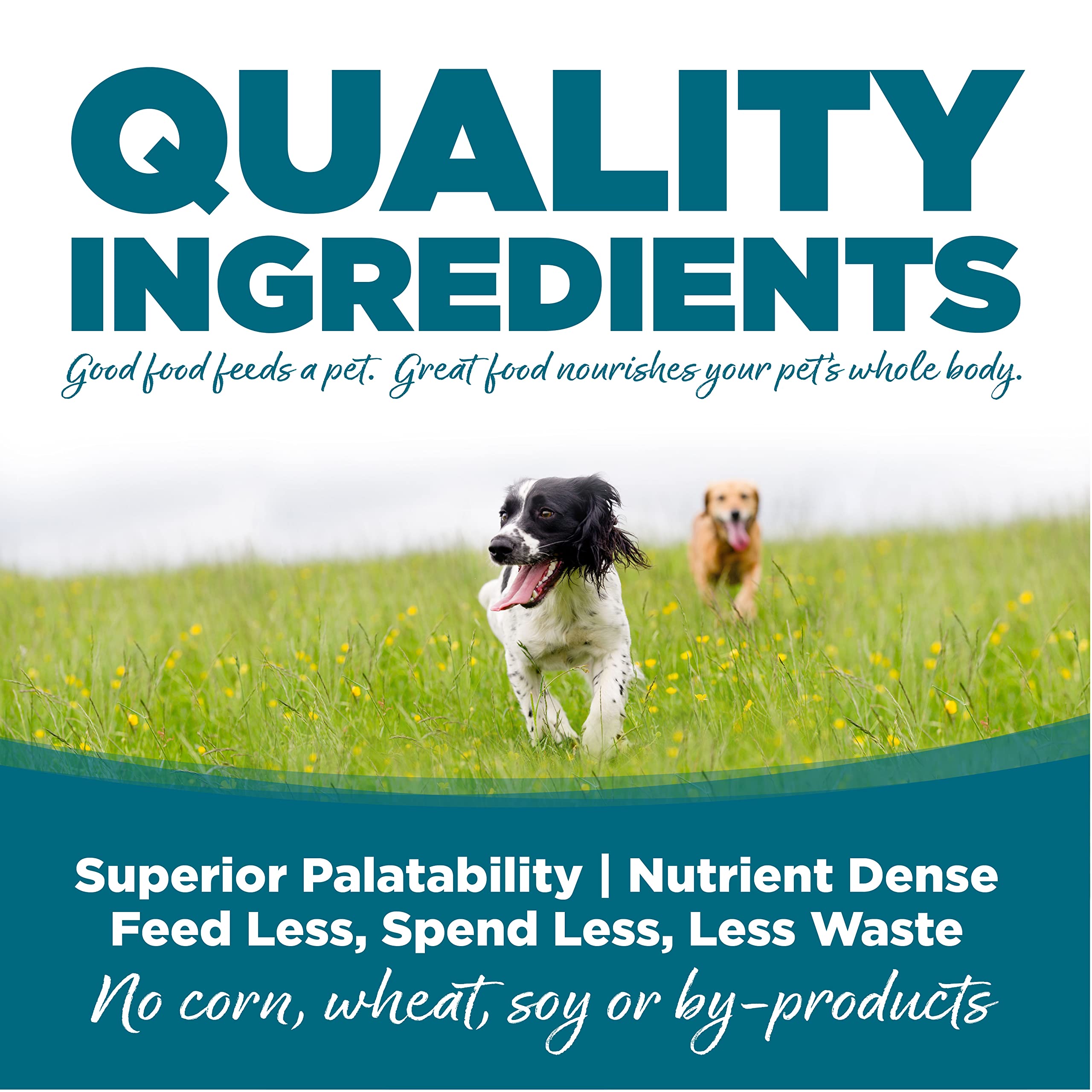 NutriSource Adult Dog Food, Made with Chicken and Rice, with Wholesome Grains, 30LB, Dry Dog Food